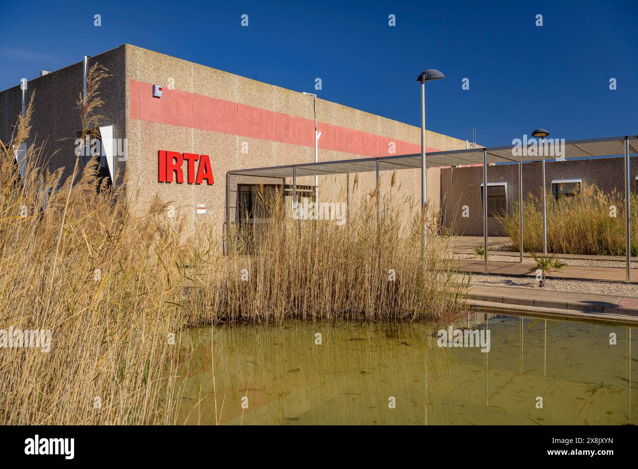 Impianti del centro IRTA di la Ràpita, un centro di ricerca specializzato in organismi acquatici e colture all'aperto (Tarragona, Catalogna, Spagna) Foto Stock