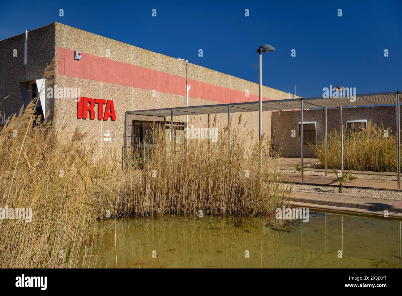 Impianti del centro IRTA di la Ràpita, un centro di ricerca specializzato in organismi acquatici e colture all'aperto (Tarragona, Catalogna, Spagna) Foto Stock
