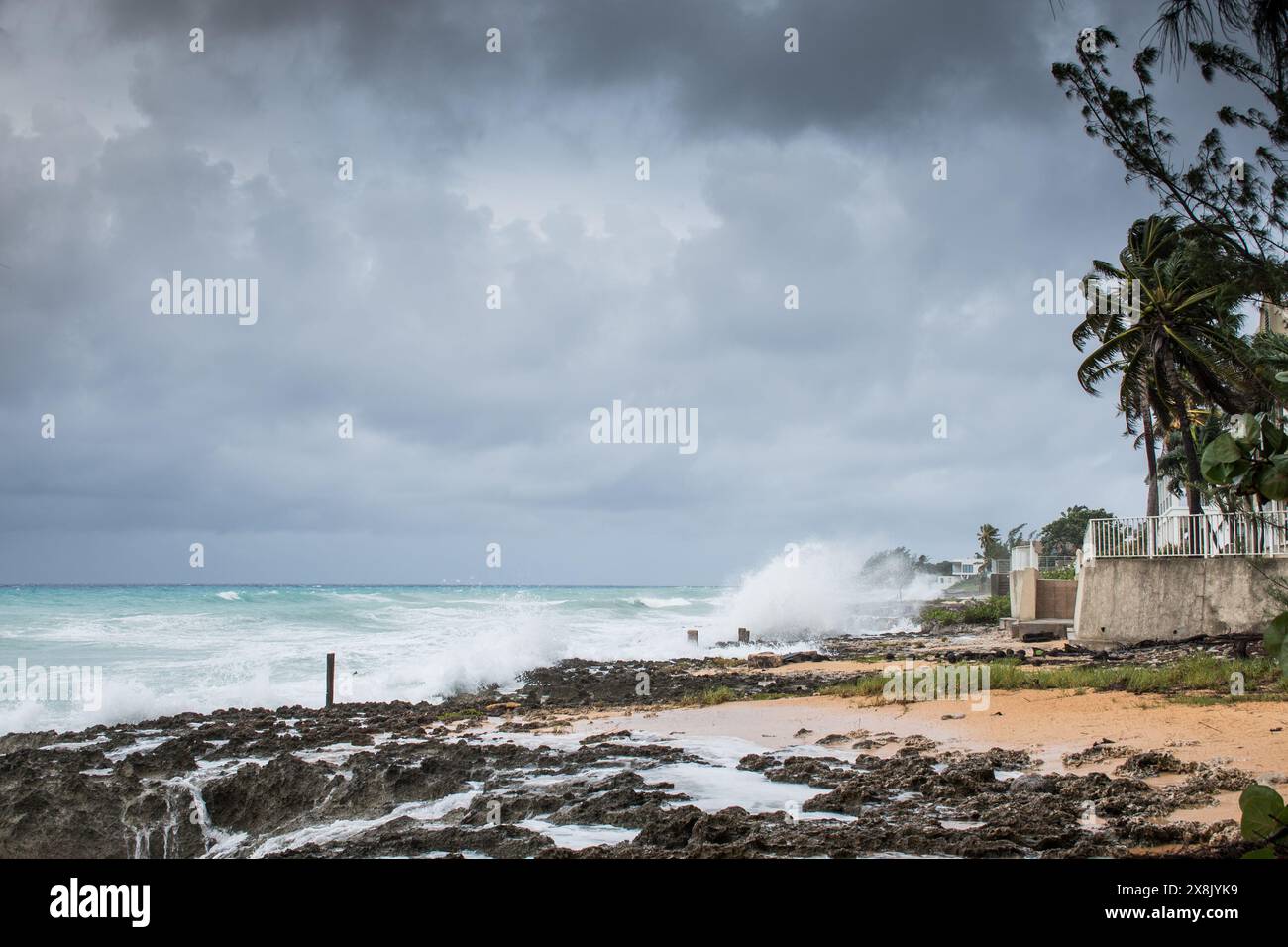 Le palme soffiano in caso di vento, maltempo, uragano in una posizione fronte spiaggia tropicale caraibica. Turbolento schema di inclement nelle Isole Cayman Foto Stock