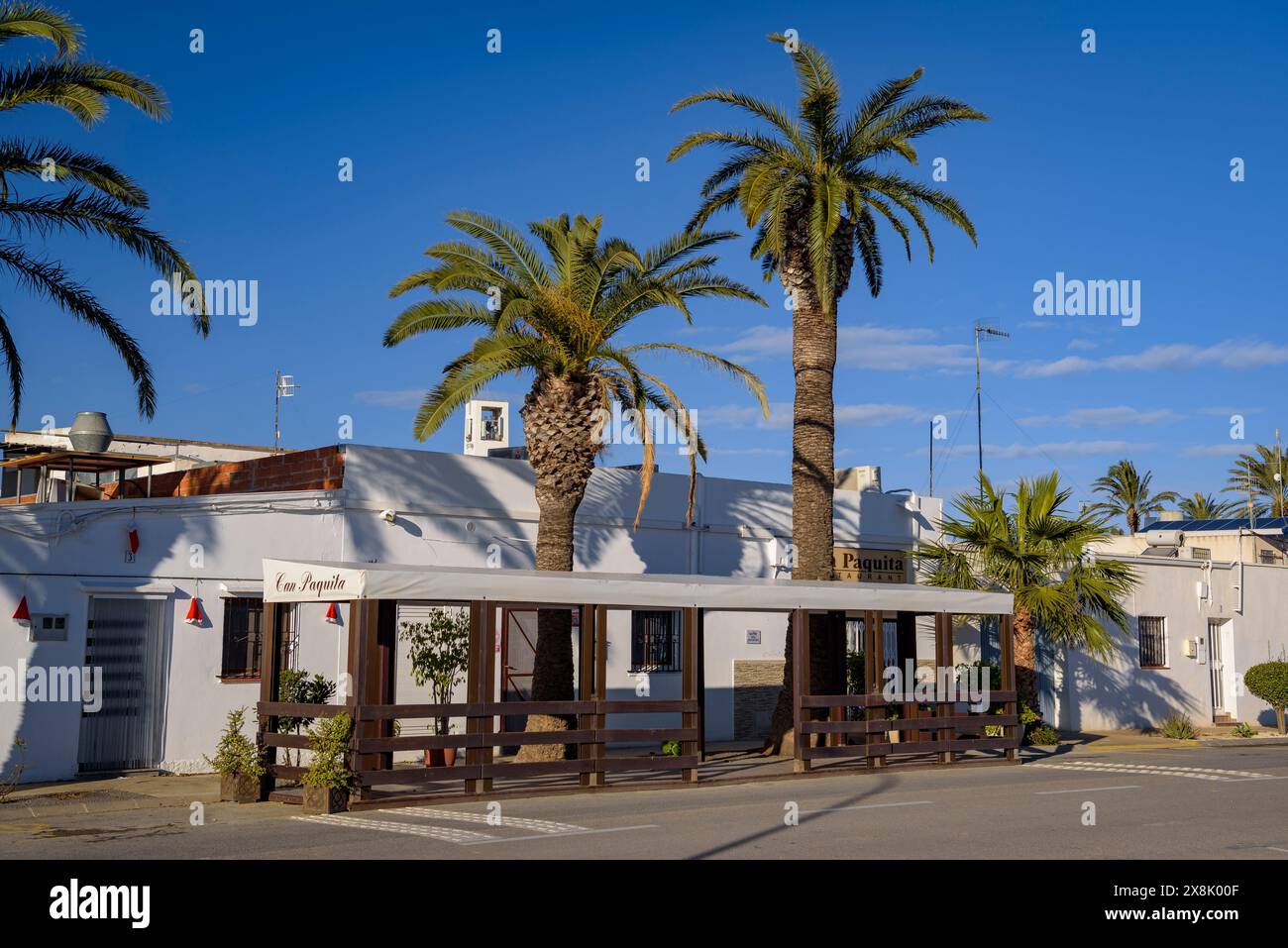 Villaggio di Poblenou del Delta in una mattina d'inverno nel Delta dell'Ebro (Montsià, Tarragona, Catalogna, Spagna). In particolare: Pueblo de Poblenou del Delta en invierno Foto Stock