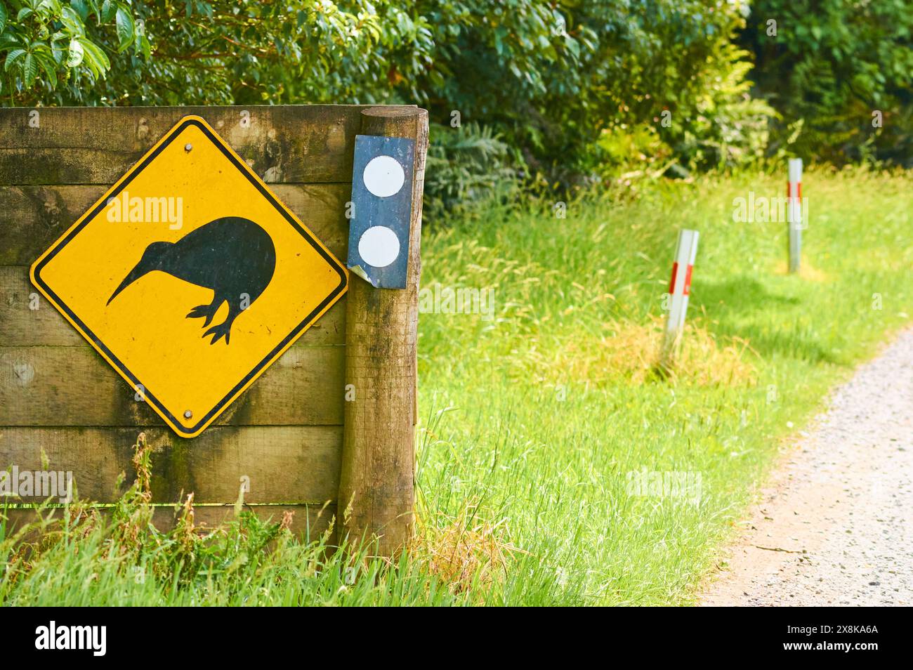 Un cartello indicante agli utenti della strada di cercare kiwi selvatici su Stewart Island/Rakiura, nuova Zelanda. Foto Stock