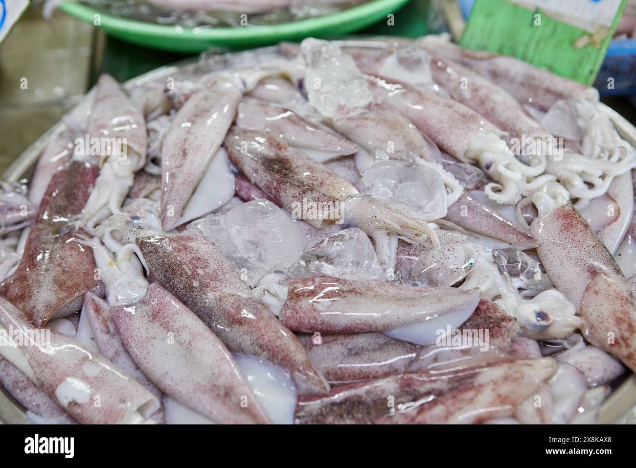 Calamari freschi in vendita sul mercato Foto Stock