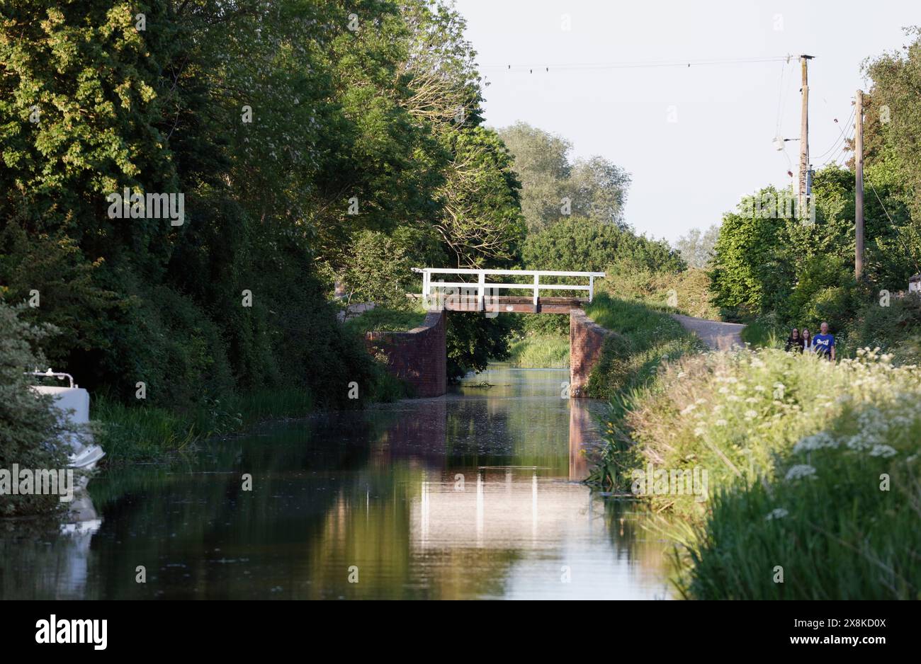 Bridgewater & Taunton Canal, Creech St Michael, Taunton, Somerset, Inghilterra, Regno Unito Foto Stock