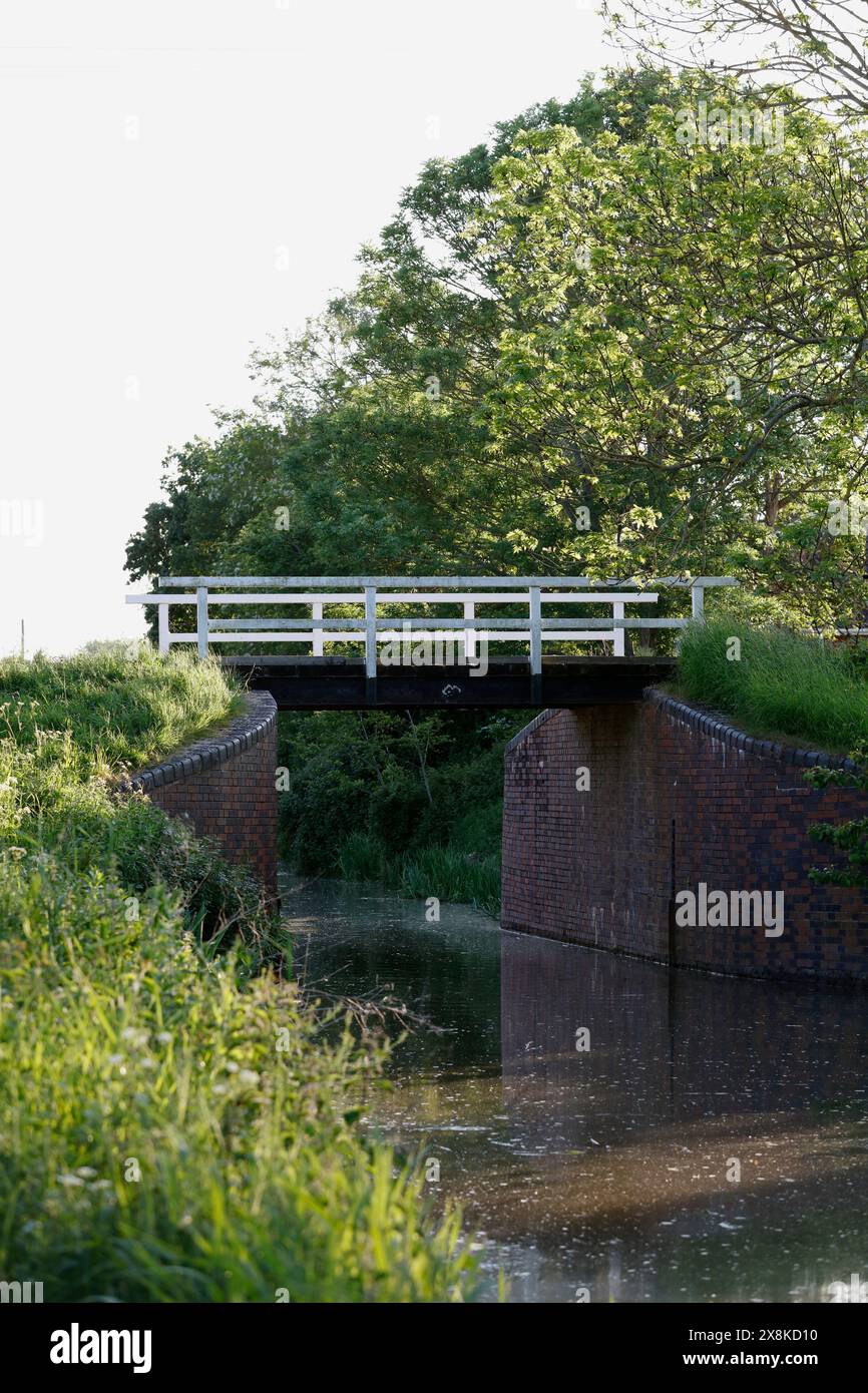 Bridgewater & Taunton Canal, Creech St Michael, Taunton, Somerset, Inghilterra, Regno Unito Foto Stock