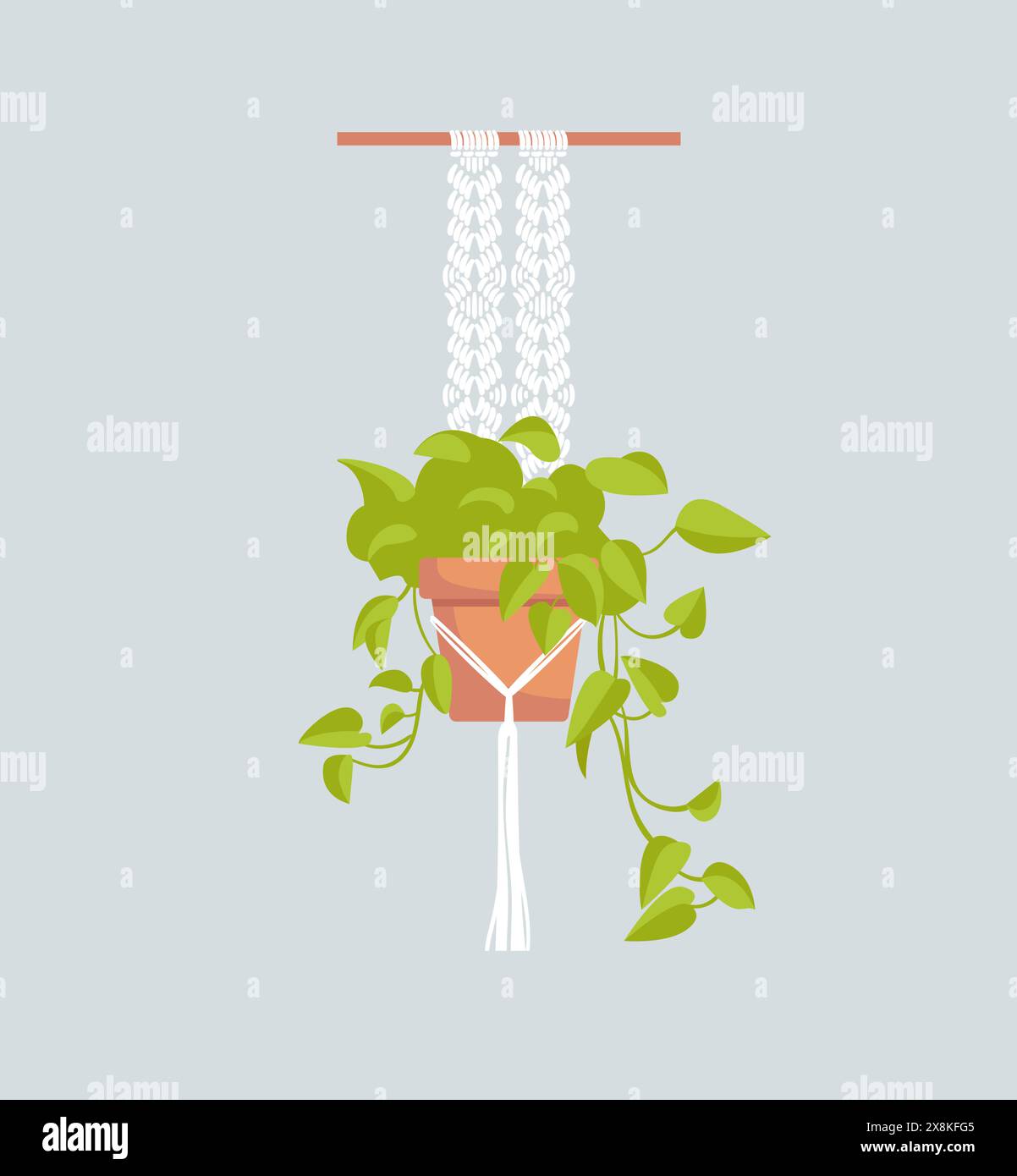 Epipremnum neon, scindapsus, liana della famiglia delle Araceae. Pianta esotica in un vaso. Piante di casa, hobby. Ciondolo Macrame, artigianato. Illustrazione botanica Illustrazione Vettoriale