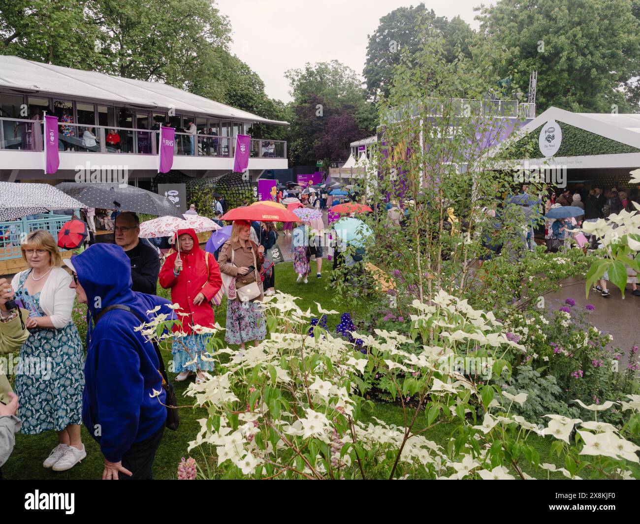 Persone sotto la pioggia al Chelsea Flower Show Foto Stock