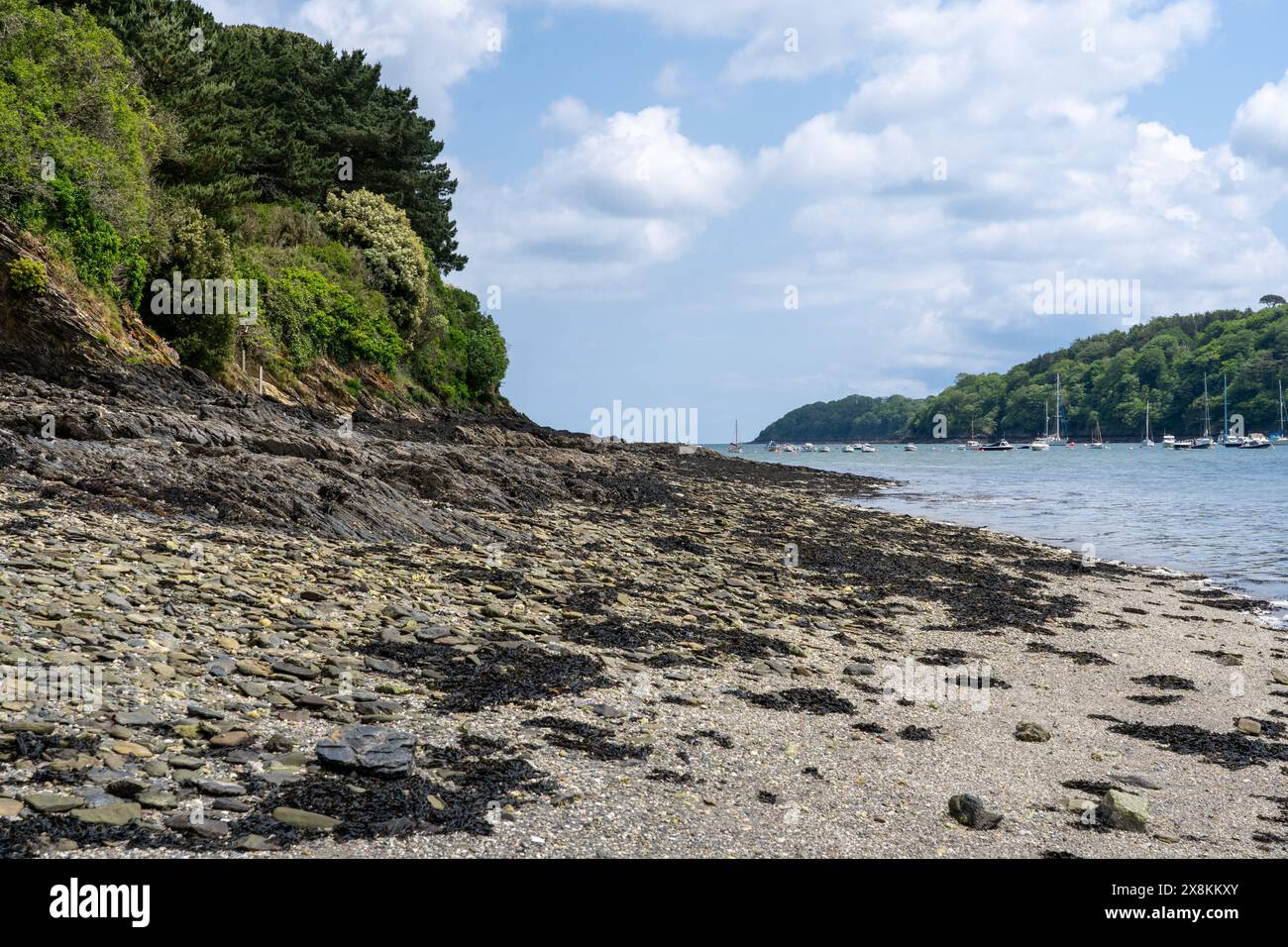 Spiaggia di Shingle sul fiume Helford, Cornovaglia Foto Stock