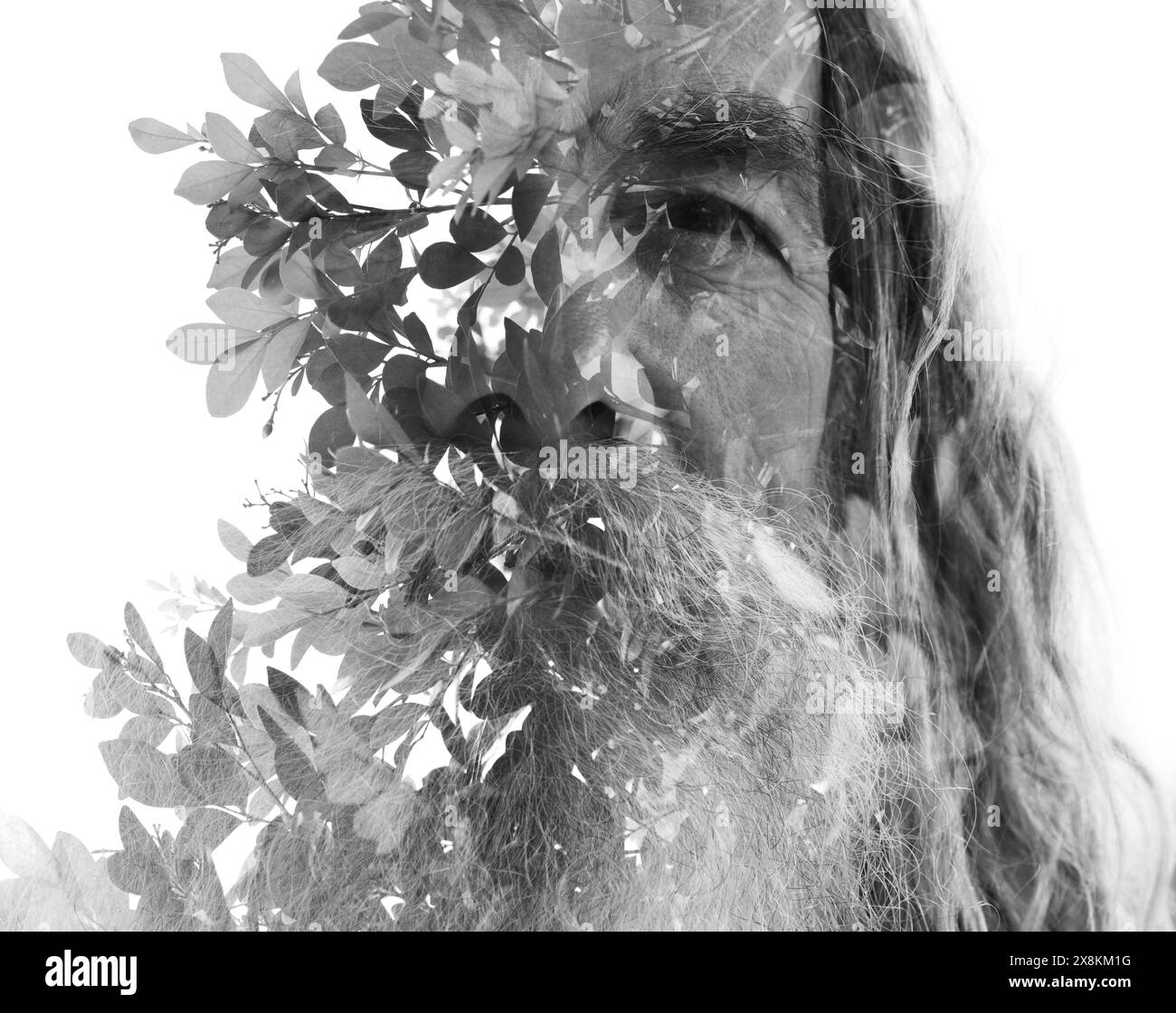 Un ritratto in bianco e nero a doppia esposizione di un vecchio barbuto Foto Stock