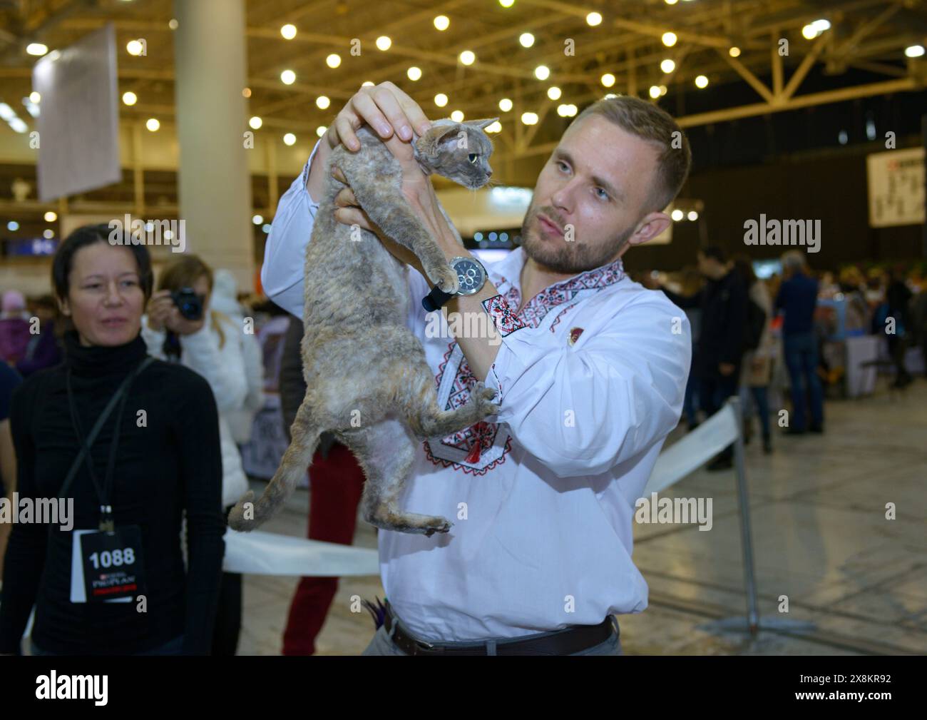 Uomo giudice in camicia ricamata Ucraina che stima la razza di gatto Devon Rex. Spettacolo di gatto. 4 dicembre 2018. Kiev, Ucraina Foto Stock