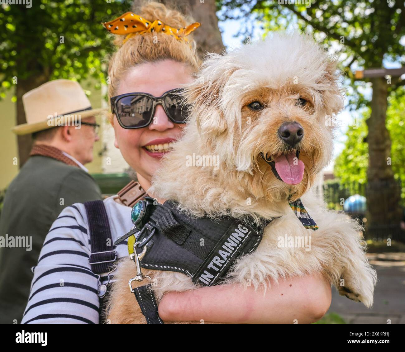 Londra, Regno Unito. 26 maggio 2024. Benji, un vecchio Spitz-Poodle di 1,5 anni, si diverte con il suo proprietario Alejandra. Quest'anno il famoso Greenwich Dog Show torna nei giardini dell'Old Royal Naval College di Greenwich, con il giudice Jodie McCallum. Cani di tutte le razze e dimensioni competono nelle classi di cani, tra cui la coda più strana, il cane più scortese e il cucciolo più carino. Crediti: Imageplotter/Alamy Live News Foto Stock