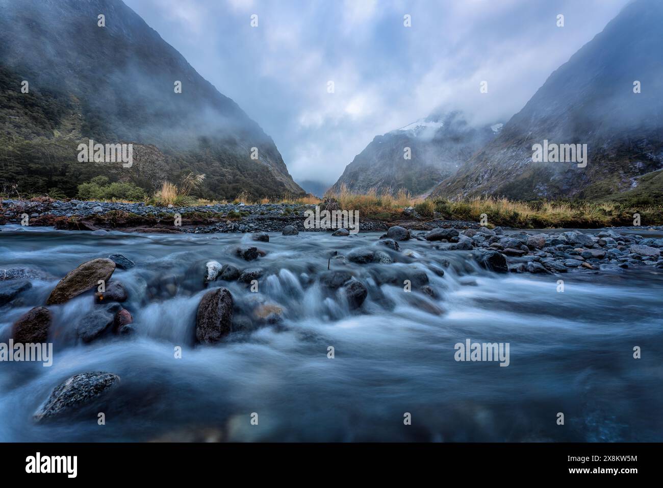 Paesaggio umido di Monkey Creek con ruscello che scorre come un bel punto sulla strada per Milford Sound in nuova Zelanda Foto Stock