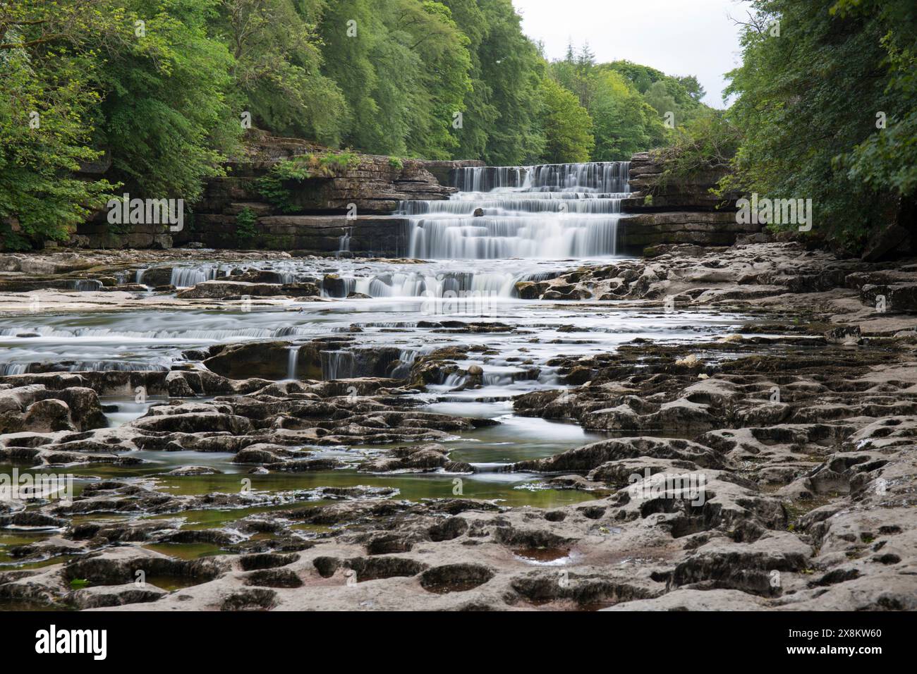 Yorkshire Dales National Park, North Yorkshire, Inghilterra. Lower Aysgarth Falls sul fiume Ure, Wensleydale. Foto Stock