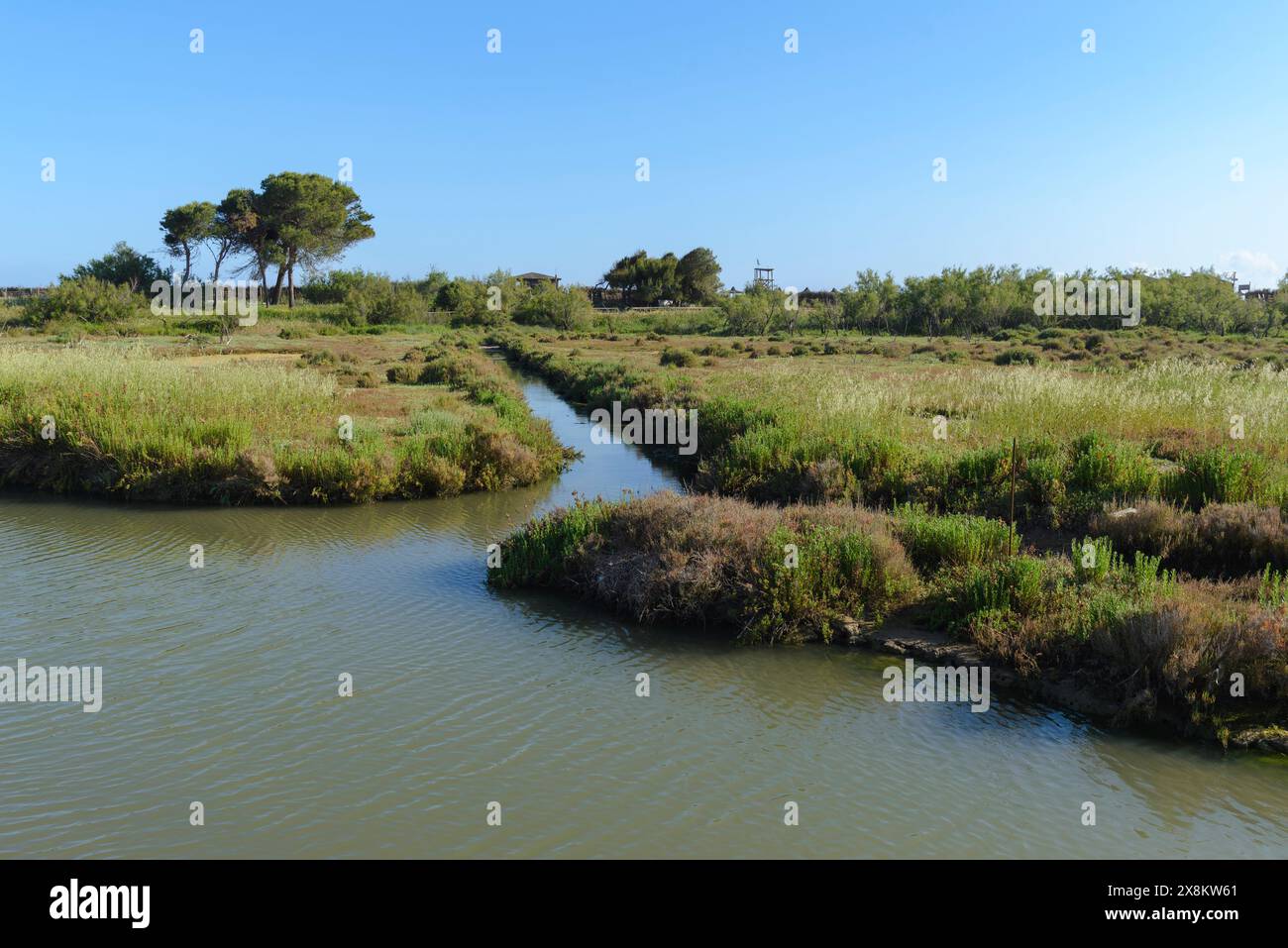 Un corpo d'acqua attraversato da un canale, vicino al WWF Oasi Padule Orti Bottagone, Piombino, Toscana, Italia Foto Stock