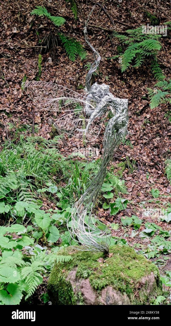 Cotton Dell, Oakamoor, Staffordshire Foto Stock