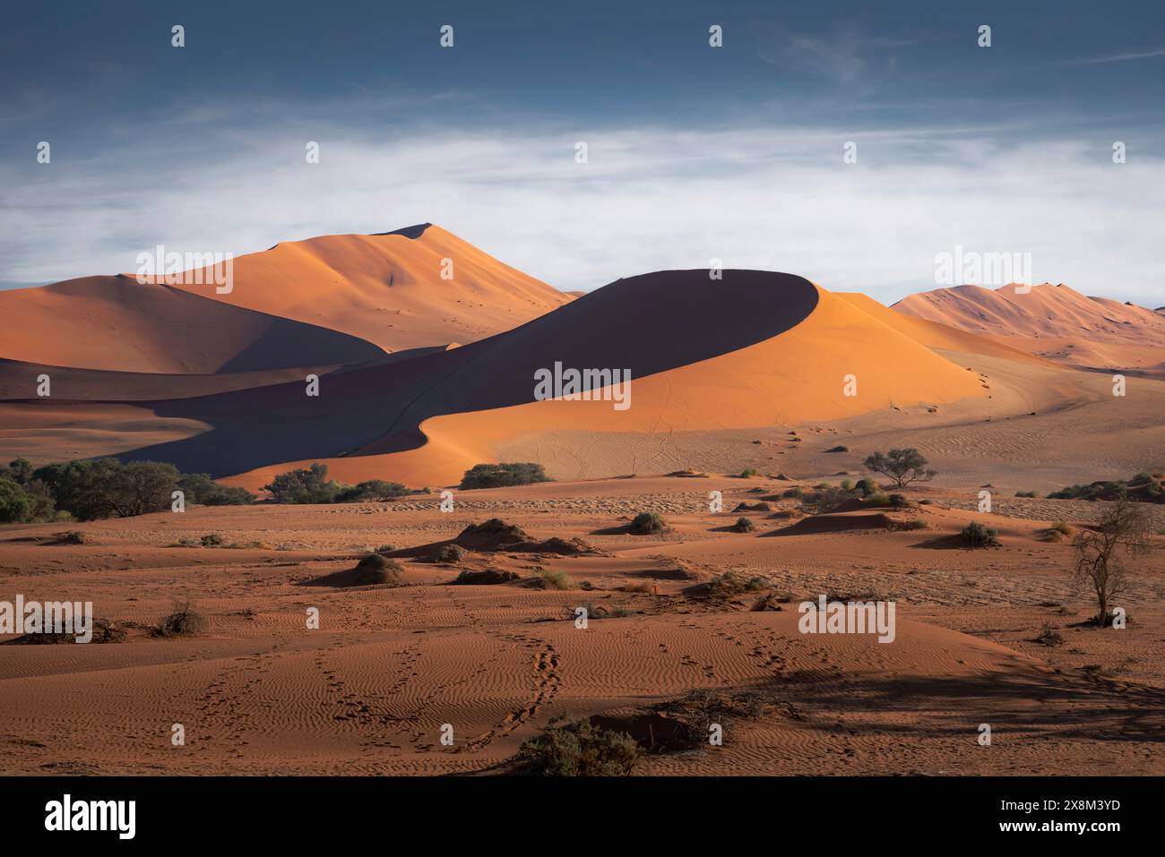 Paesaggio Sossusvlei, Namibia Foto Stock