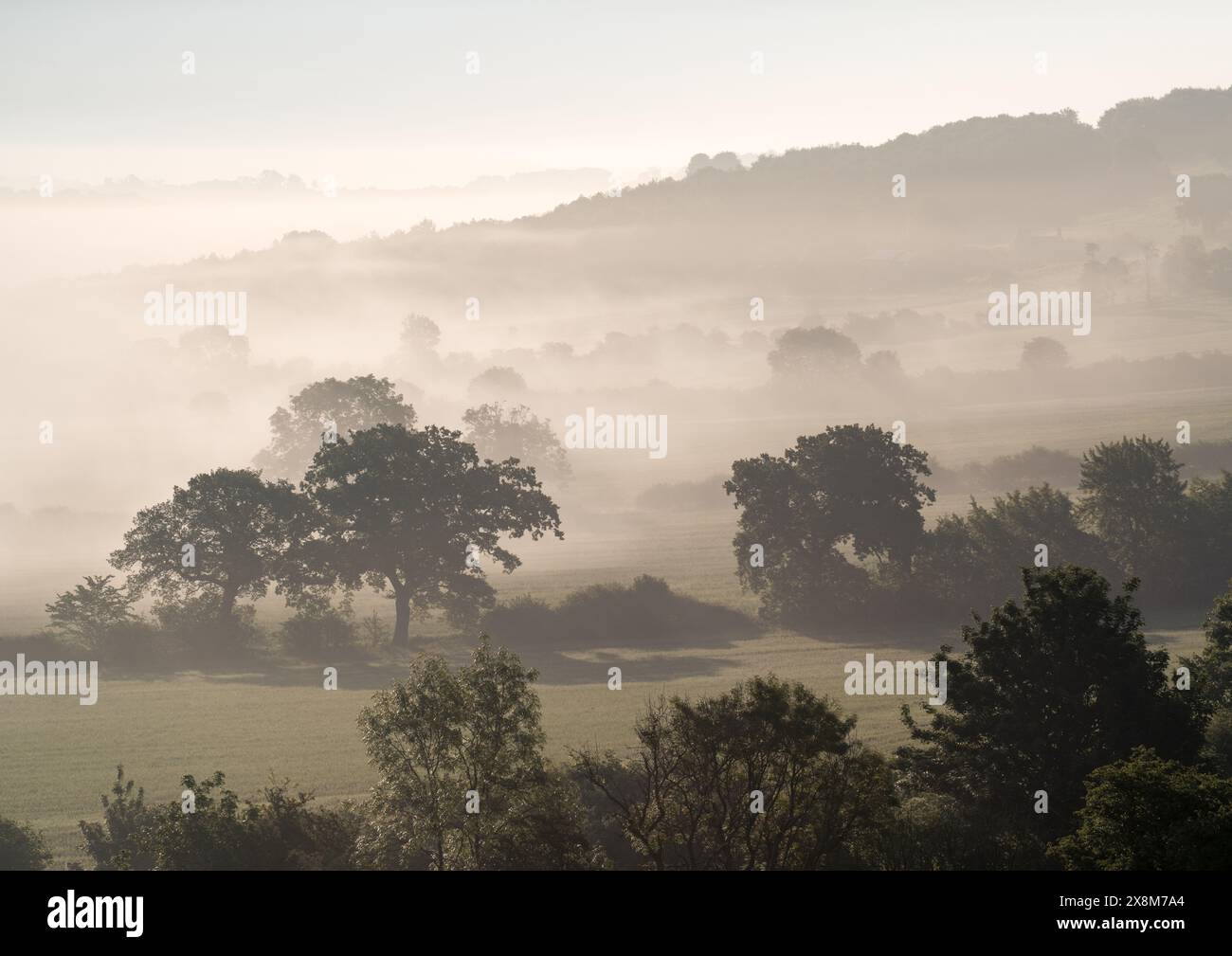 Splendidi strati nel paesaggio della Harewood Estate vicino a Leeds, West Yorkshire, mentre il sole nascente brucia la nebbia in tarda mattinata di primavera. Foto Stock