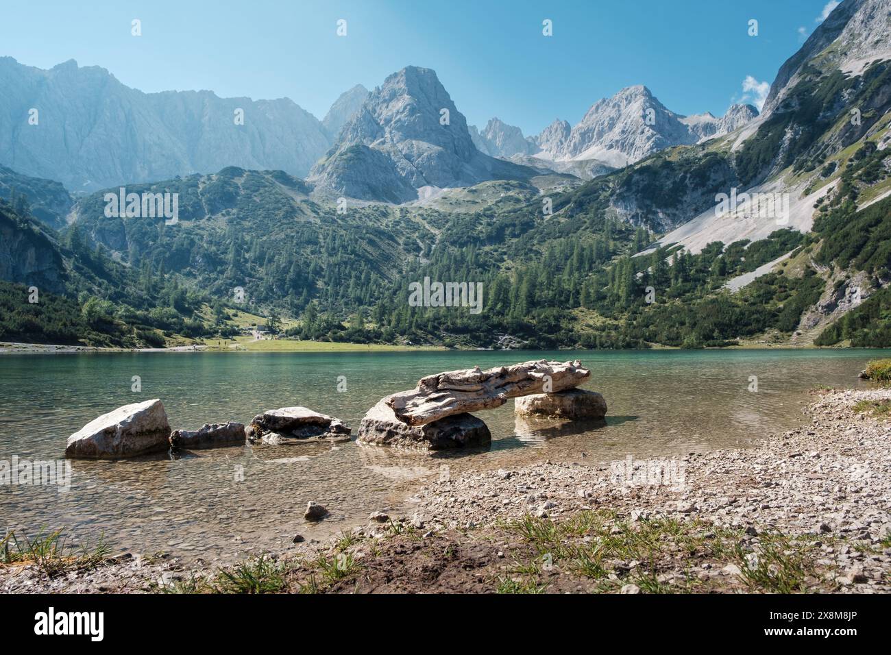 Vista dall'Alpe Ehrwalder allo splendido lago di montagna Seebensee con grandi montagne sullo sfondo. Foto Stock