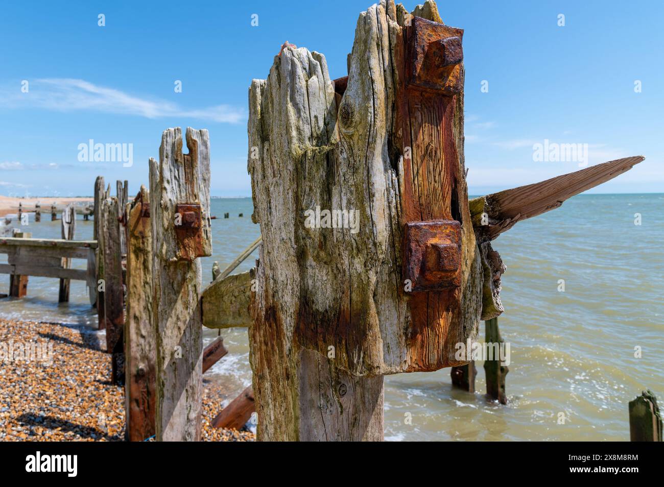 Testa del palo usurata con legno pesantemente intemprato, bulloni arrugginiti e macchie di ruggine nella riserva naturale di Rye Harbour in una giornata luminosa e soleggiata. Foto Stock