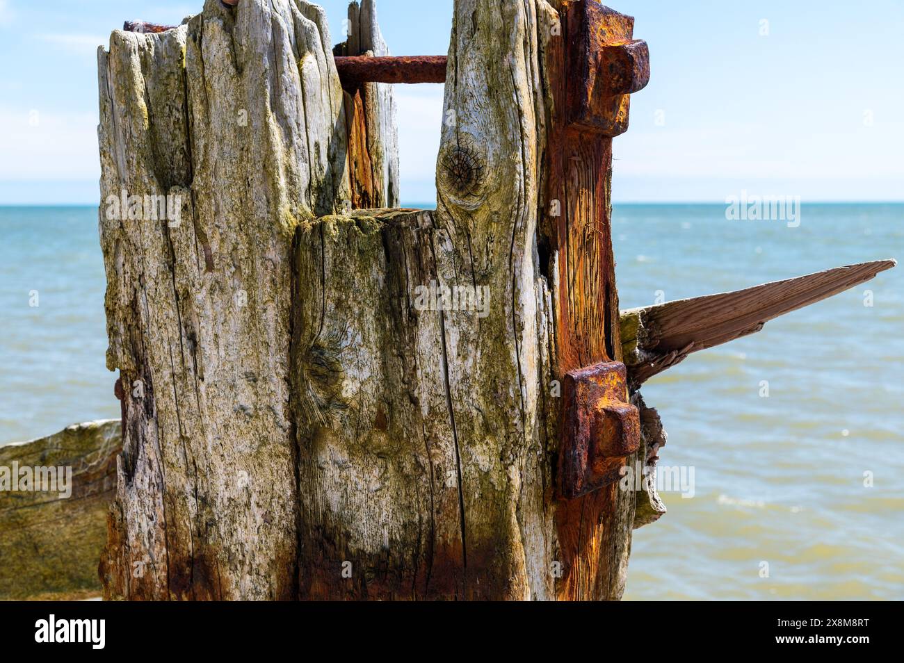 Testa del palo usurata con legno pesantemente intemprato, bulloni arrugginiti e macchie di ruggine nella riserva naturale di Rye Harbour in una giornata luminosa e soleggiata. Foto Stock