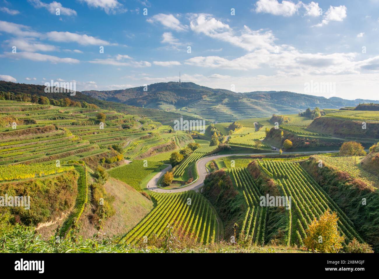 Texas Pass - paesaggio con vigneti a Kaiserstuhl Foto Stock