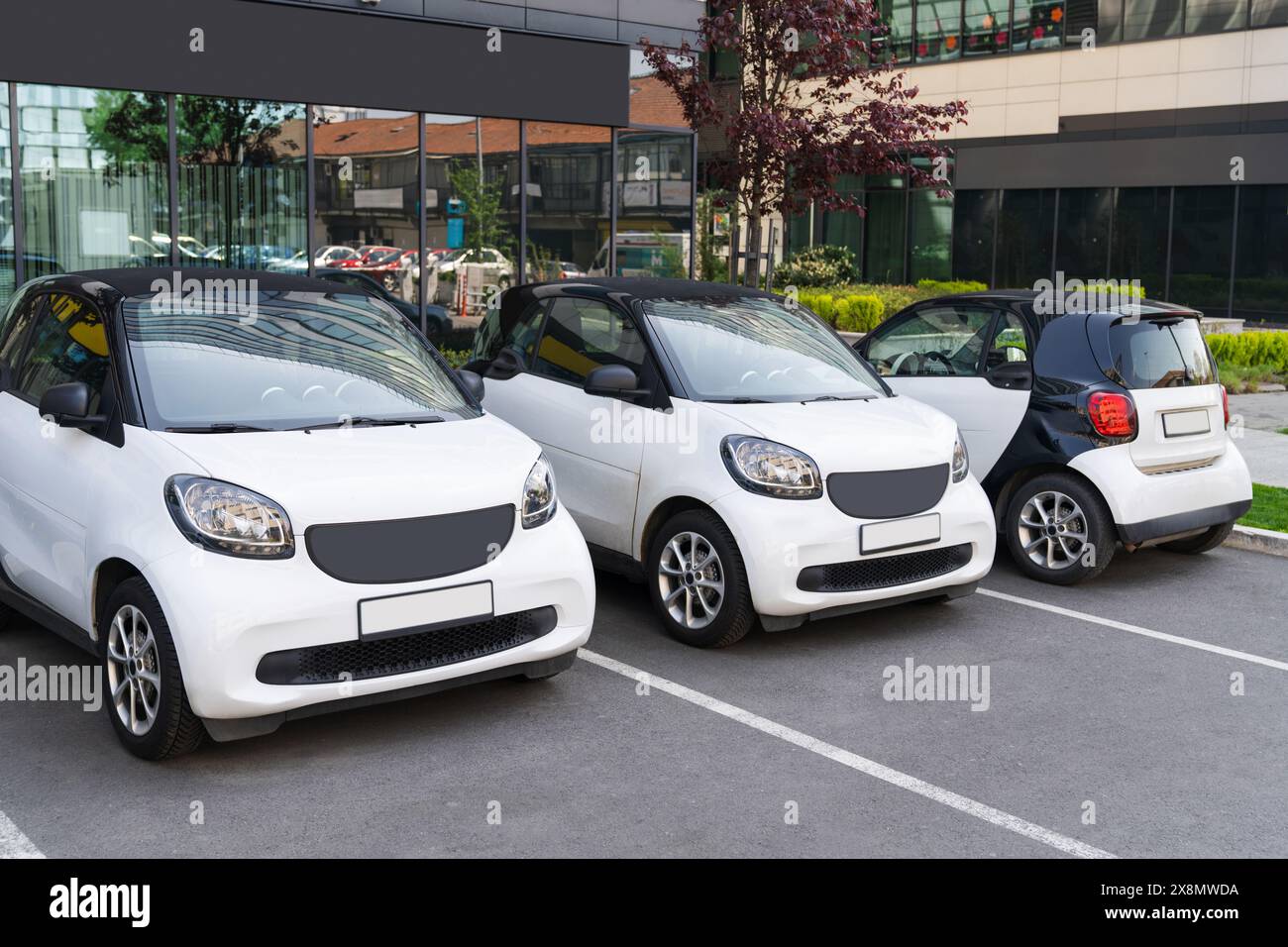 Auto a noleggio bianche di fila... Foto Stock