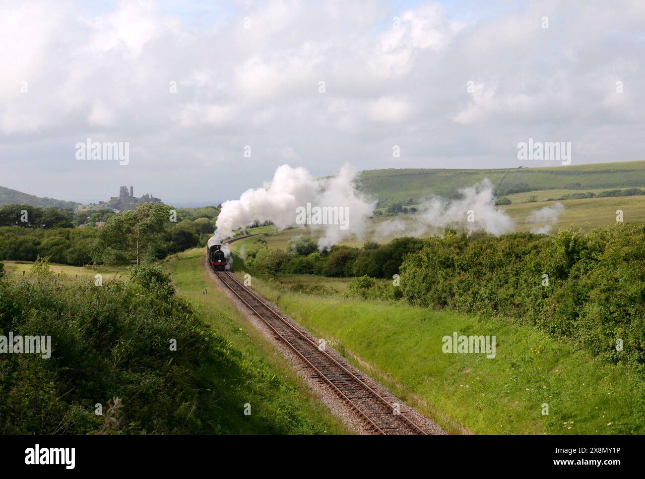 Una vista della campagna del Dorset con un treno a vapore e il castello di Corfe sullo sfondo. Foto Stock