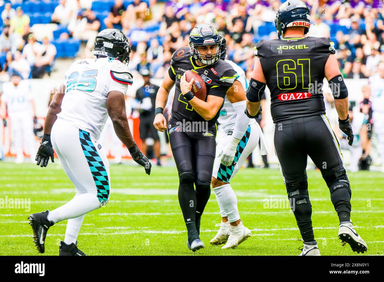Sinsheim, Germania. 26 maggio 2024. ELF/ gioco: Munich Ravens at Stuttgart Surge il 26 maggio. 2024 ,nella PreZero Arena , Sinsheim, Germania, QB # 4 Reilly Hennessey / Stuttgart Surge. Crediti: Frank Baumert/Alamy Live News Foto Stock