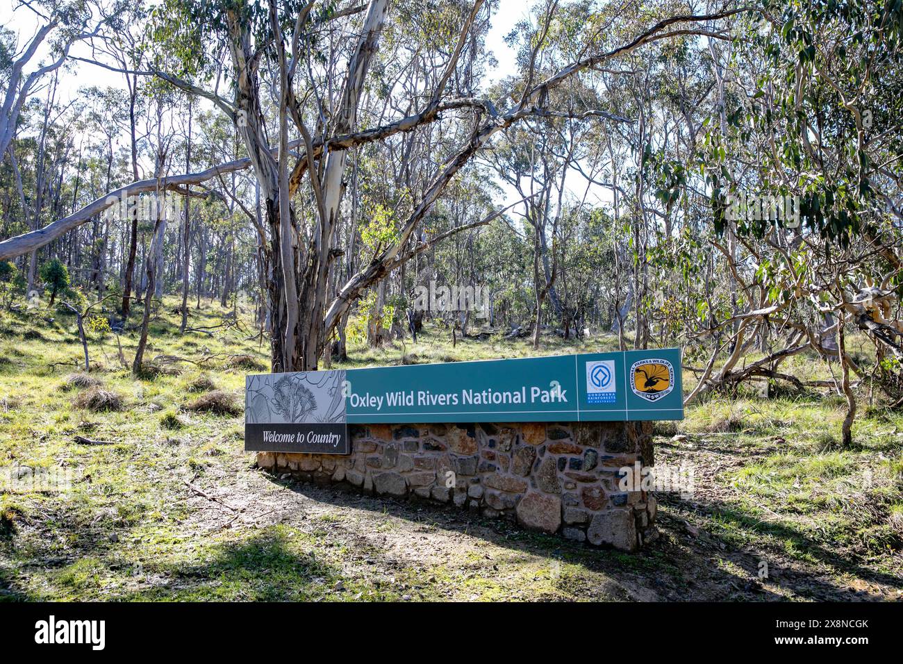 Oxley Wild Rivers National Park, foresta pluviale di gondwana, patrimonio dell'umanità, siti storici, cascate, passeggiate e campeggio, Northern Tablelands, NSW Foto Stock