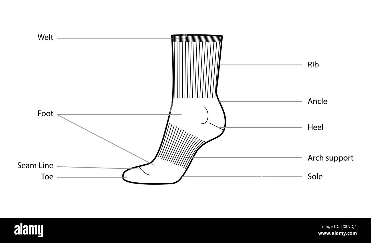 Diagrammi di parti di calze sportive con nomi di testo. Calze per accessori moda moda abbigliamento illustrazioni tecniche. Vista laterale vettoriale per donne, modello piatto, contorno di schizzo modello CAD isolato Illustrazione Vettoriale