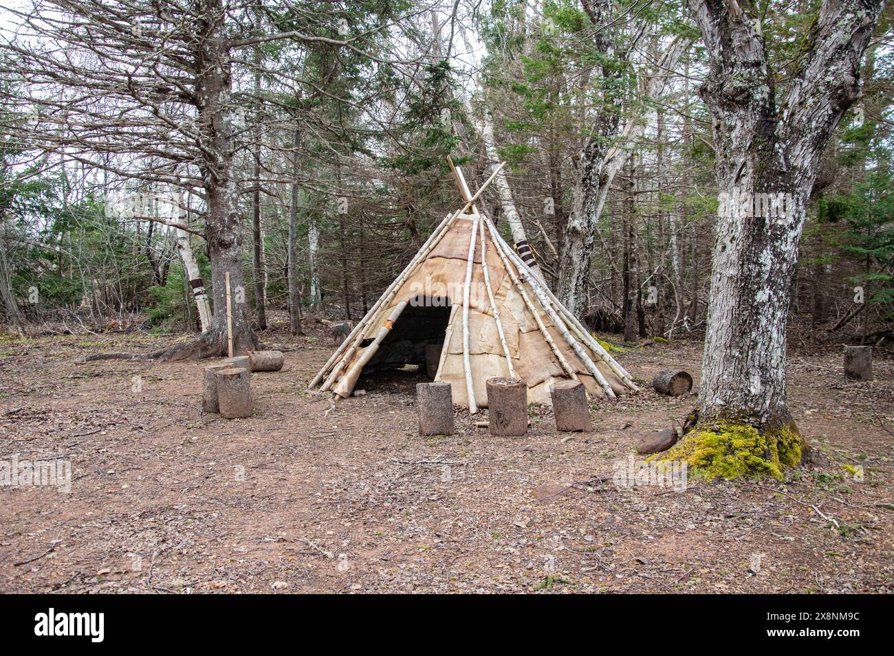 Tradizionale wigwam mi'kmaq al Greenwich National Park a St. Peters Bay, Prince Edward Island, Canada Foto Stock