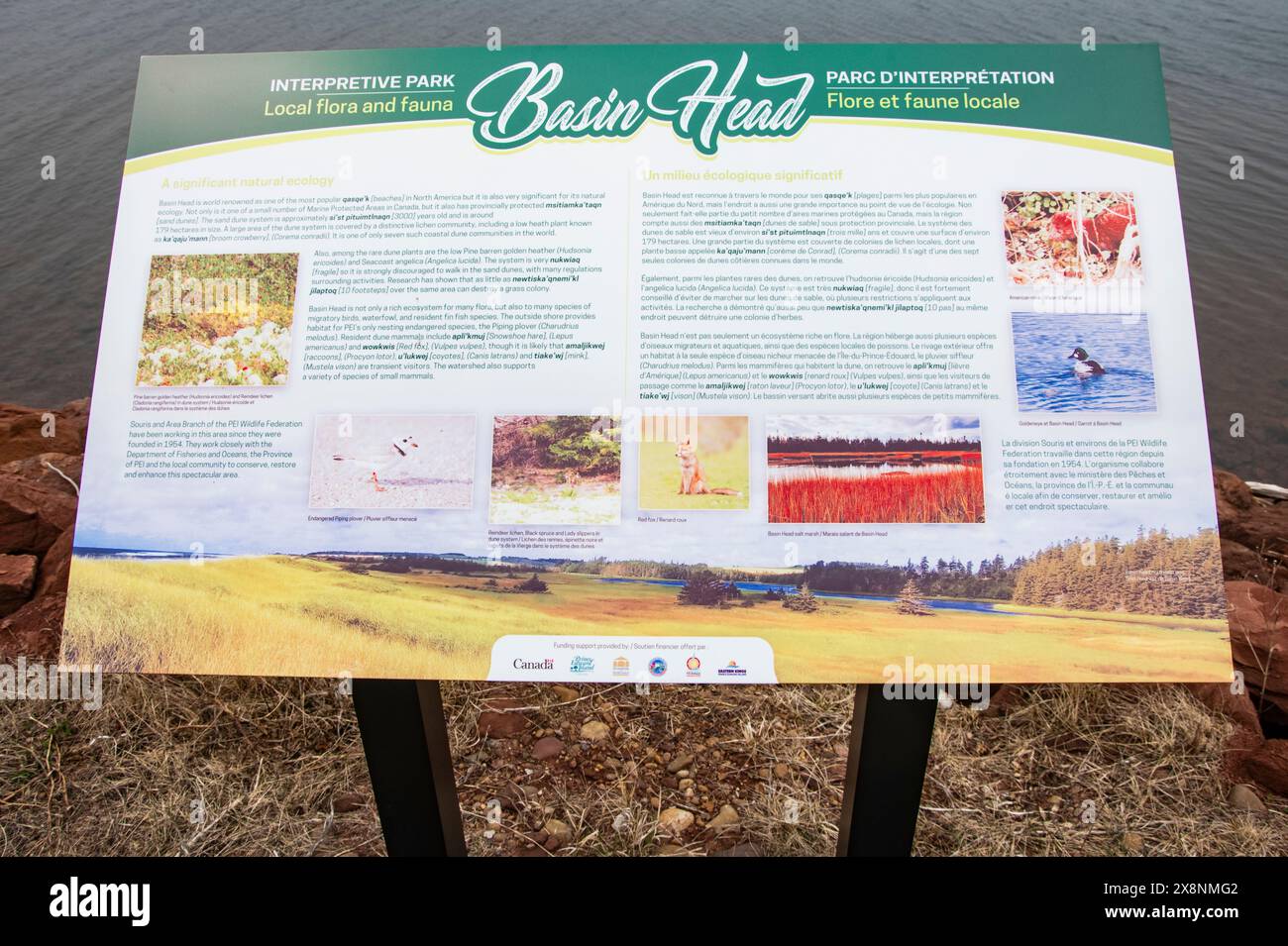 Basin Head Provincial Park insegna interpretativa della flora e della fauna locale a Kingsboro, Prince Edward Island, Canada Foto Stock