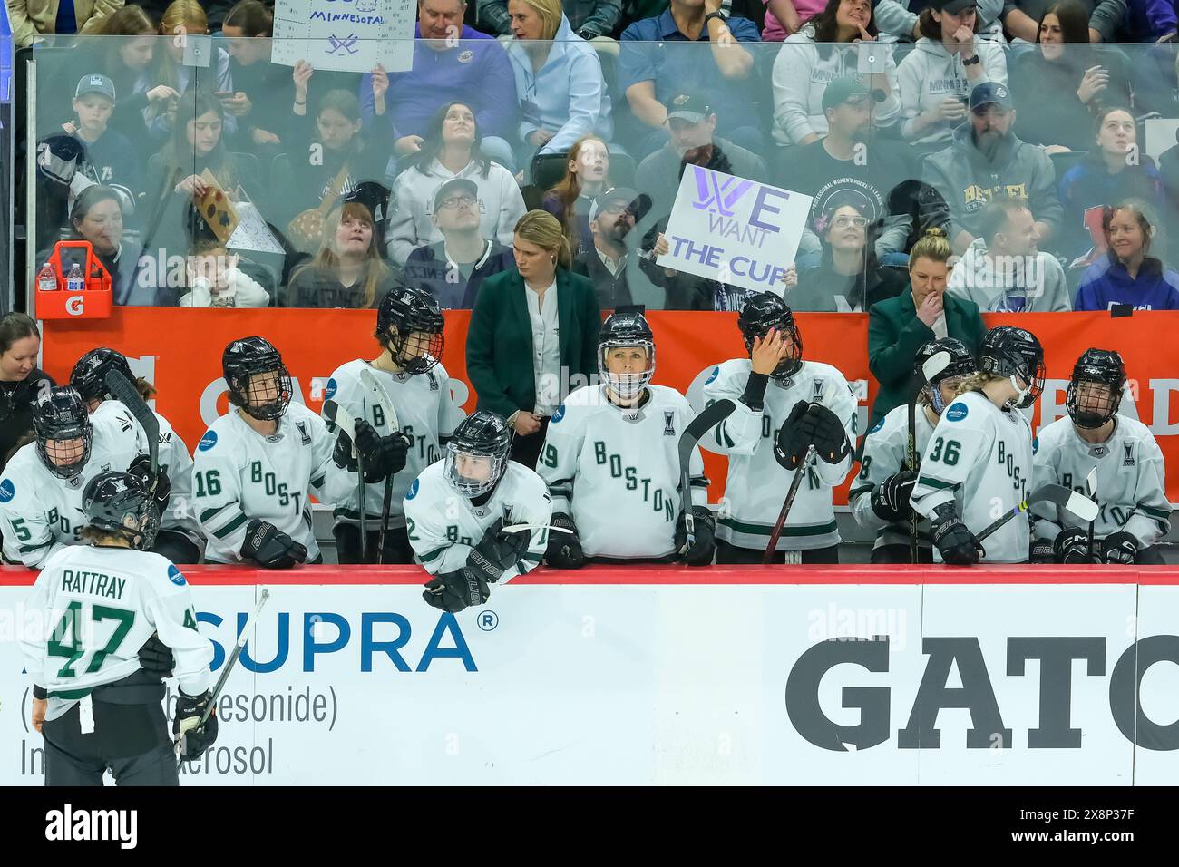 St. Paul, Minnesota, Stati Uniti. 26 maggio 2024. La panchina di Boston durante la gara 4 delle finali inaugurali della PWHL tra Minnesota e Boston all'Xcel Energy Center di St. Paul. Boston ha vinto al secondo tempo supplementare 1-0. (Immagine di credito: © Steven Garcia/ZUMA Press Wire) SOLO PER USO EDITORIALE! Non per USO commerciale! Foto Stock