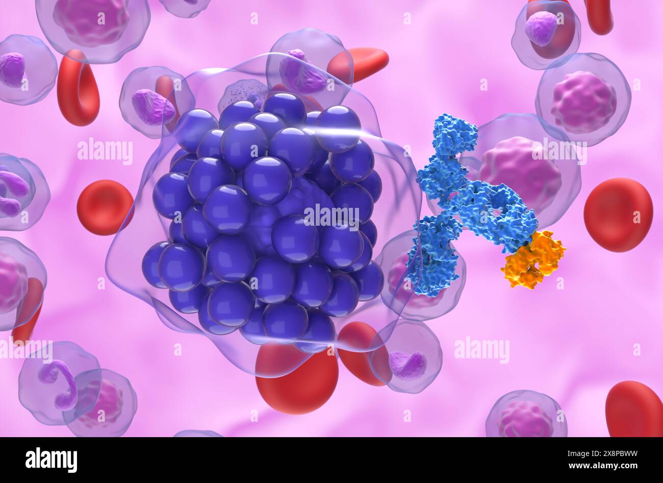 Trattamento con anticorpi monoclonali nel linfoma diffuso a grandi cellule B (DLBCL) - Vista ravvicinata illustrazione 3d. Foto Stock