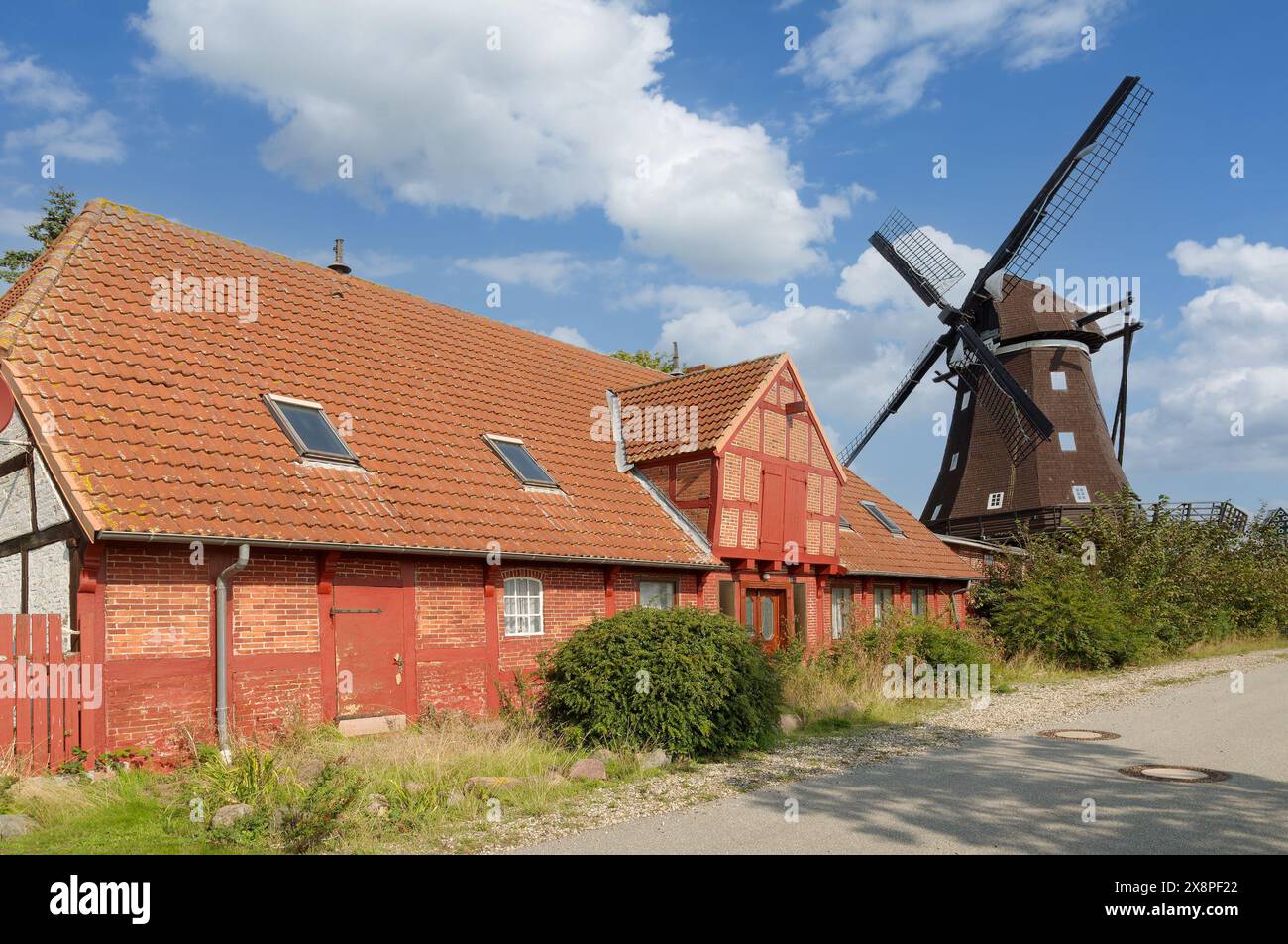 Mulino a vento di Lemkenhafen, Fehmarn, Mar baltico, Schleswig-Holstein, Germania Foto Stock