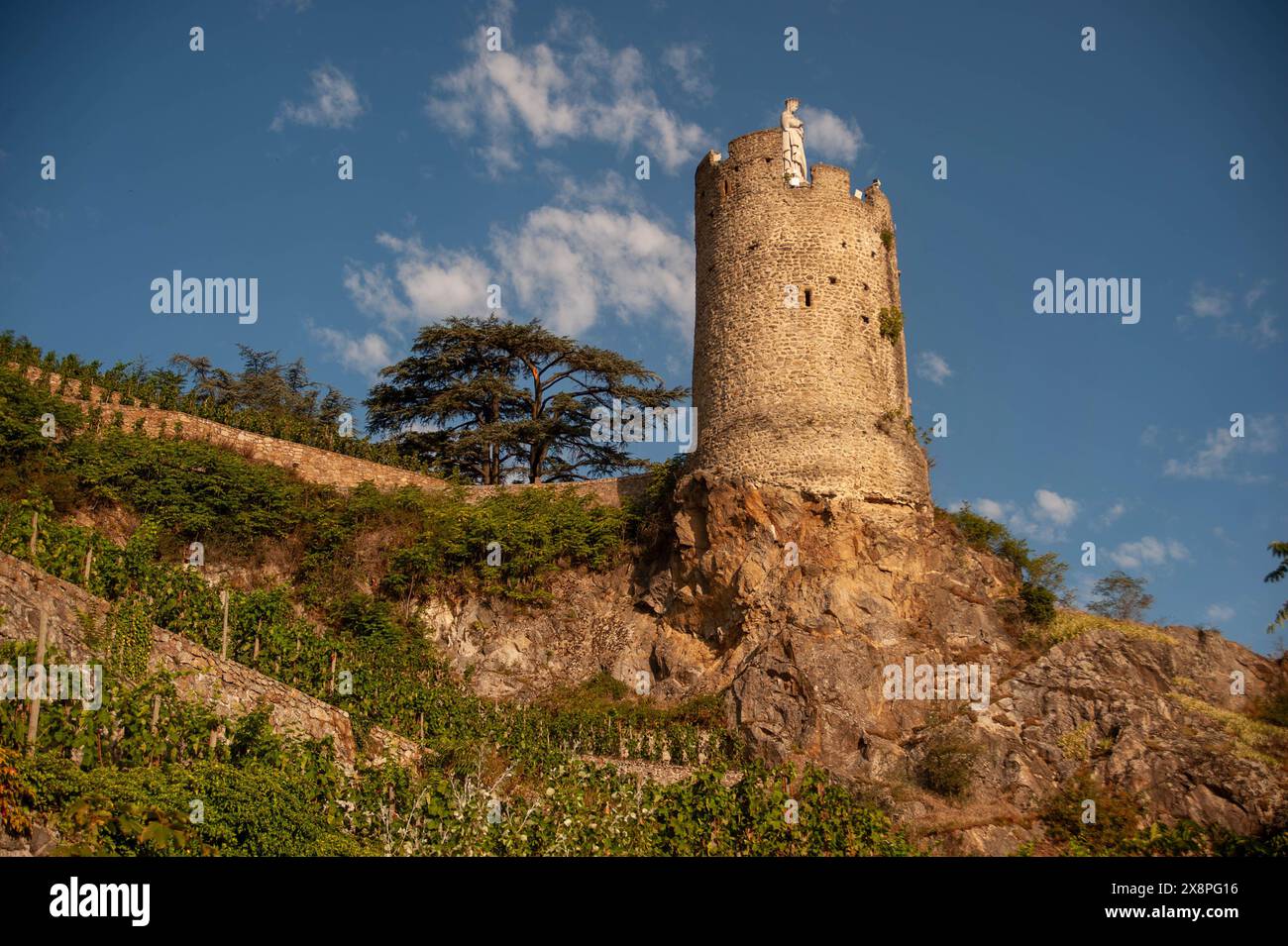 La torre dell'ospedale, Tournon-sur-Rhône, Ardeche, Francia Foto Stock