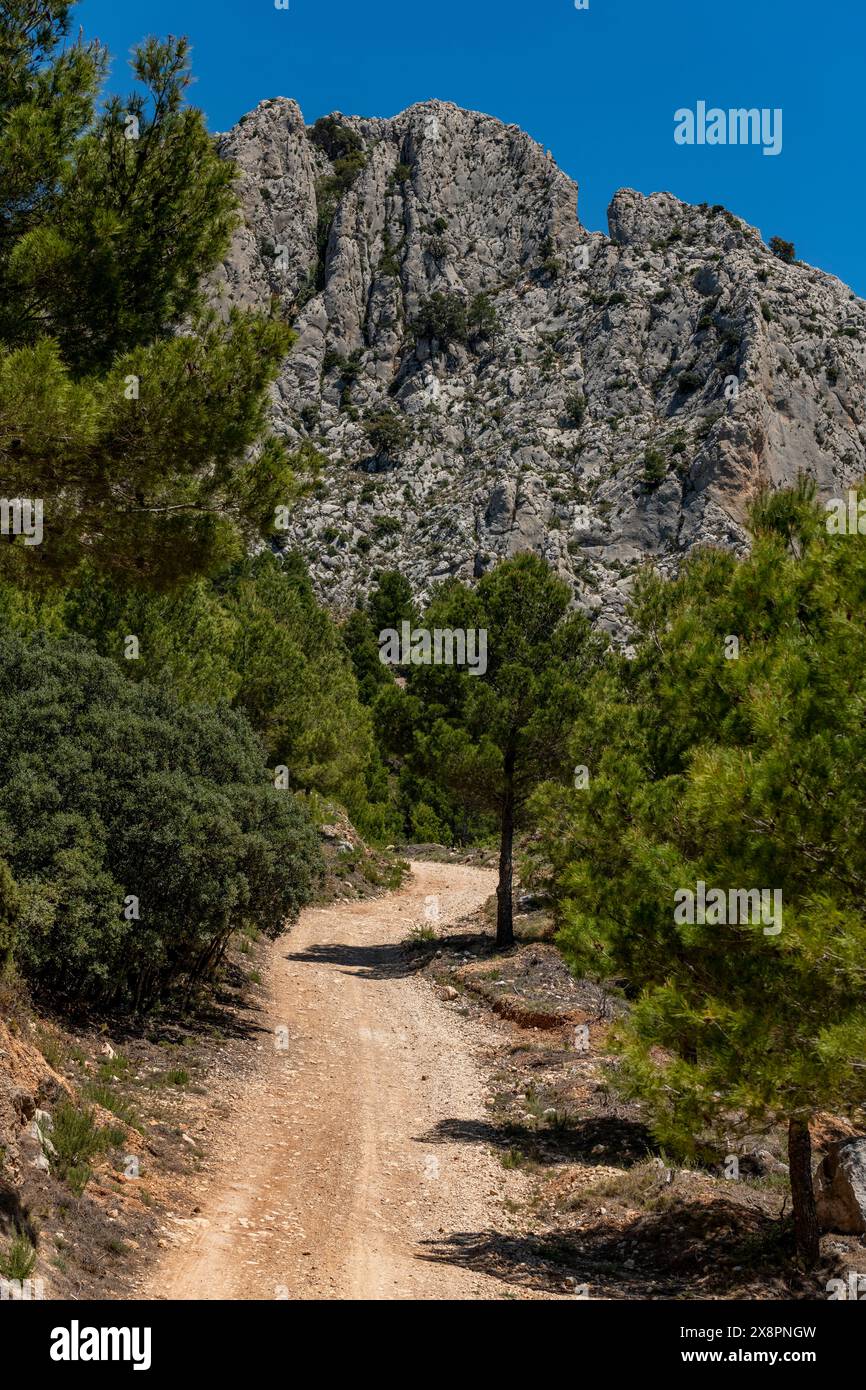 Sentiero sterrato che attraversa l'area selvaggia di Paso el Contador - il passo tra Sella e la valle di Guadalest, Alicante, Spagna - foto di scorta Foto Stock