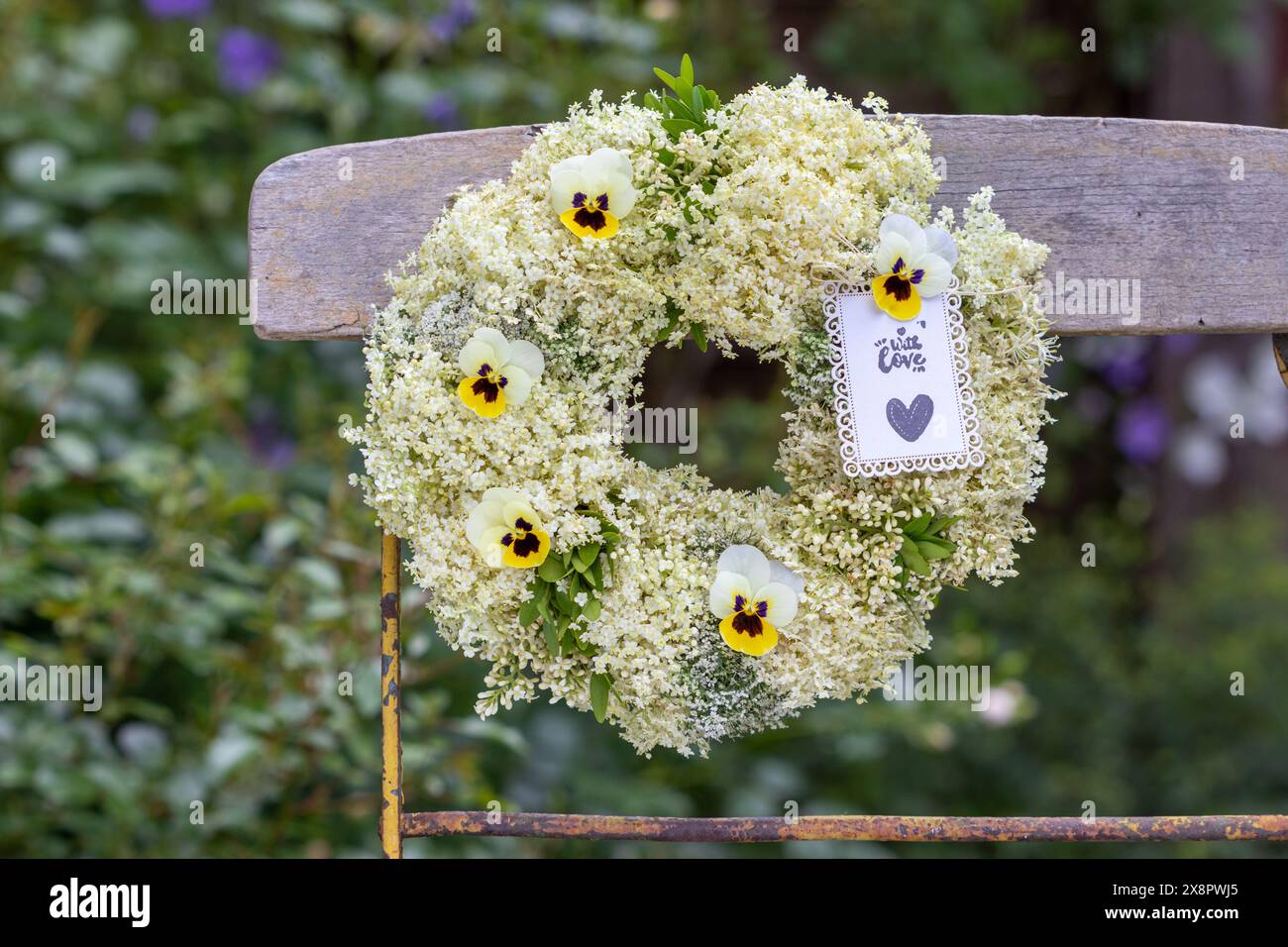 ghirlanda di fiori anziani e fiori viola gialli appesi sulla sedia da giardino Foto Stock