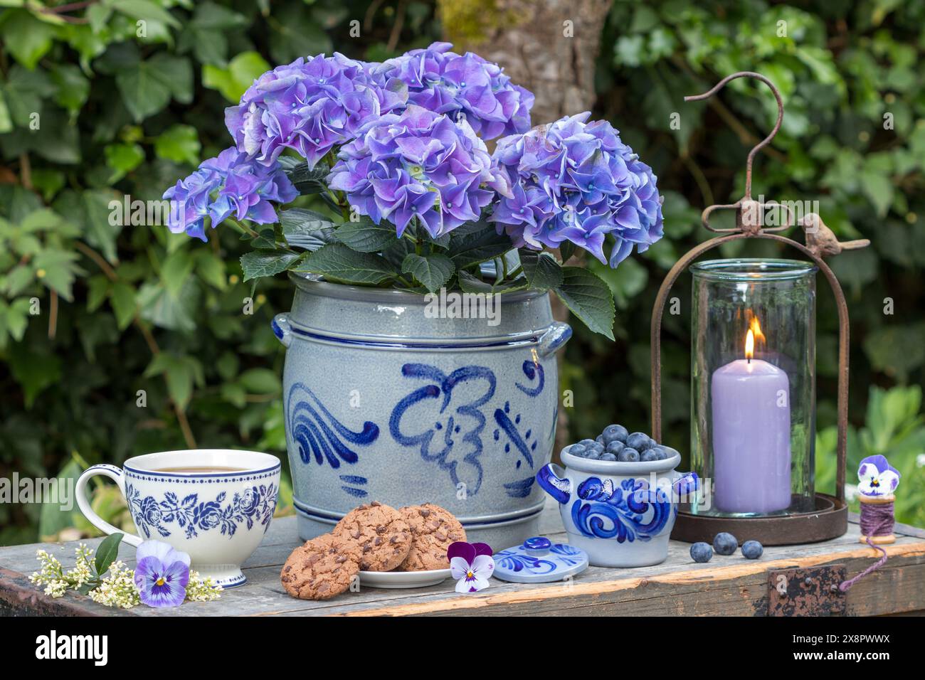 disposizione dei tavoli con biscotti al cioccolato, mirtilli freschi, tazza di tè, ortensie blu in pentola e lanterna vintage Foto Stock