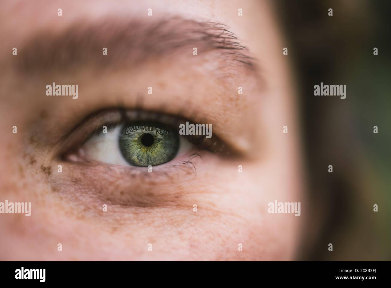 Primo piano di un occhio verde con lentiggini e dettagli dettagliati Foto Stock