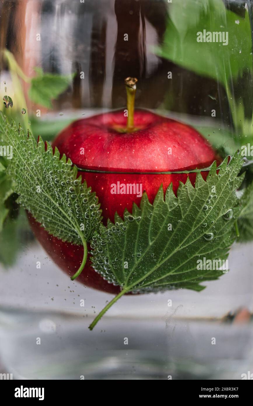 Caraffa d'acqua con erbe aromatiche, mele, goccioline d'acqua Foto Stock