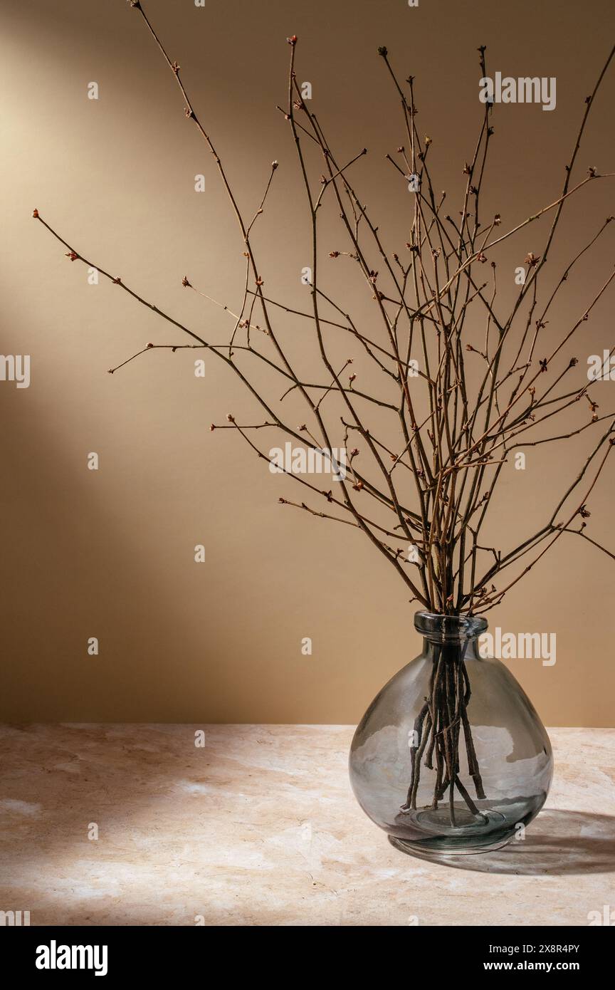 un vaso di vetro sul tavolo alla luce del sole con rami di alberi asciutti Foto Stock