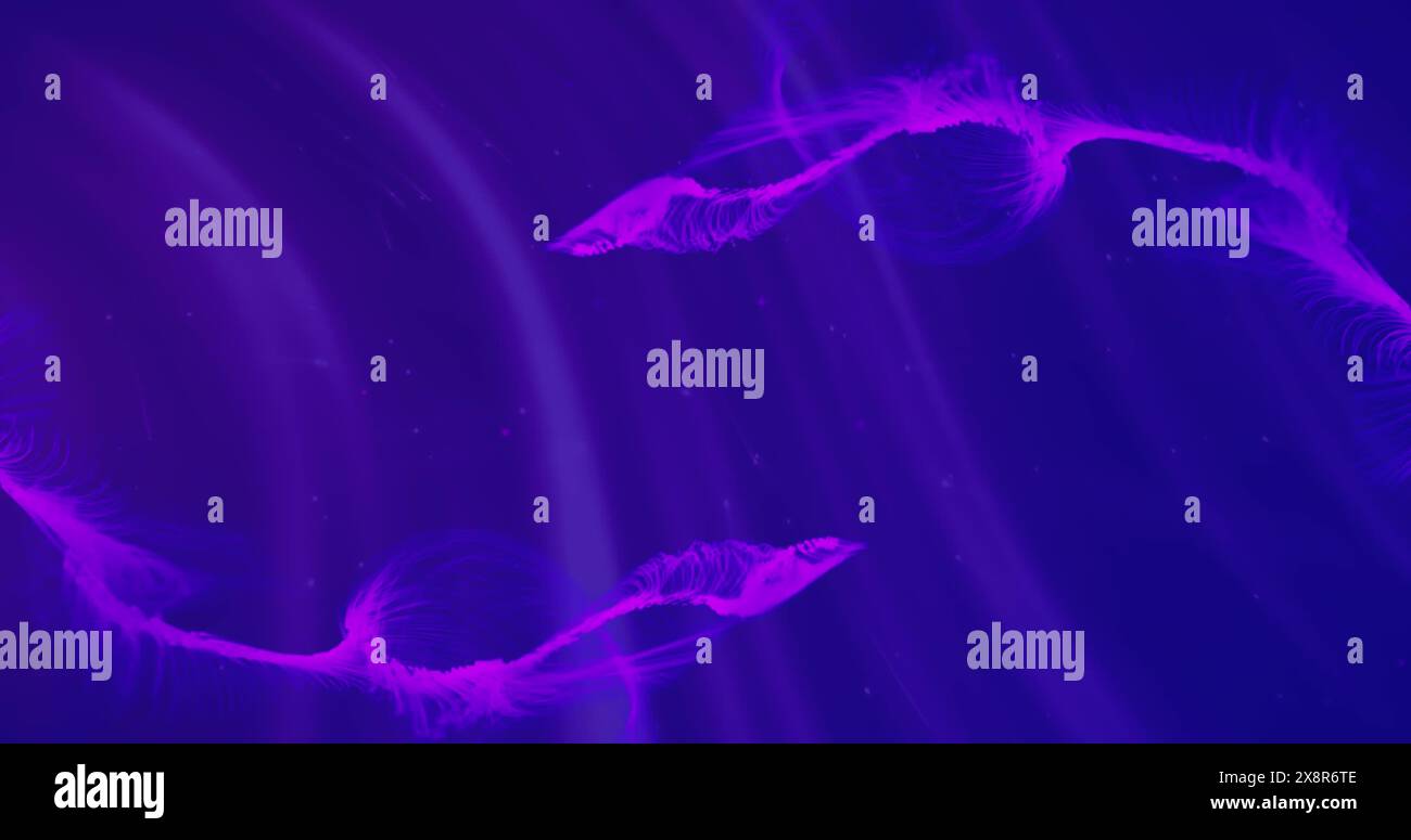Immagine di sentieri di fumo viola che si muovono su un loop senza interruzioni Foto Stock