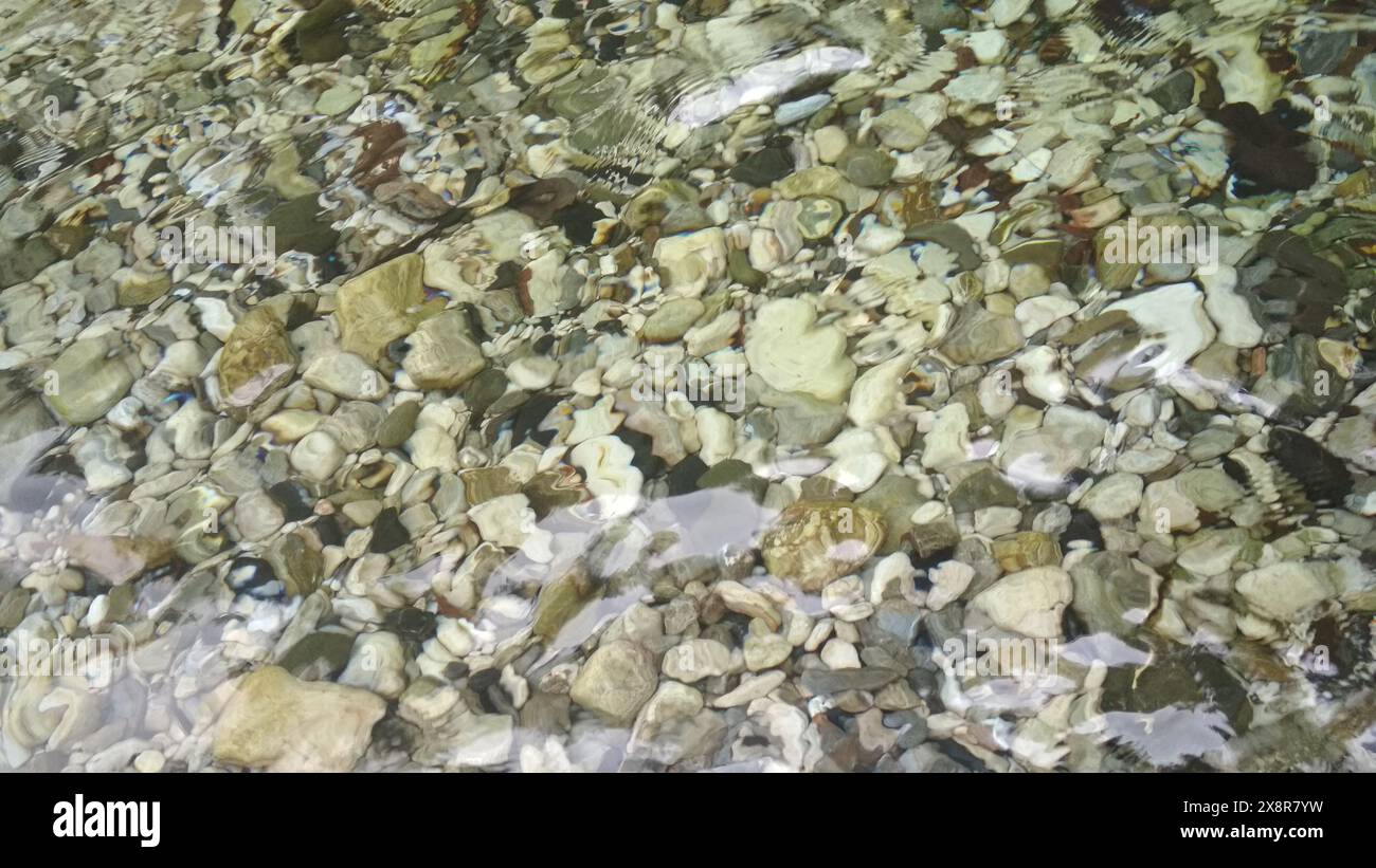 pietre di fiume sott'acqua Foto Stock