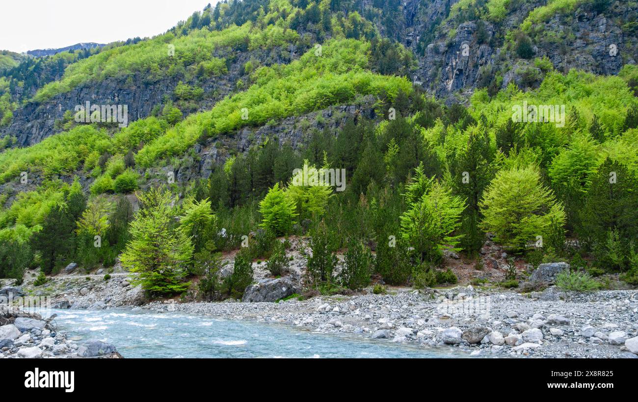 flusso del fiume di montagna Foto Stock