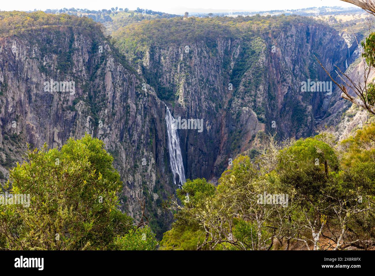 Cascate Wollemombi nel parco nazionale Oxley Rivers, la seconda cascata più grande dell'Australia, con le cascate chandler accanto, New South Wales, Australia Foto Stock