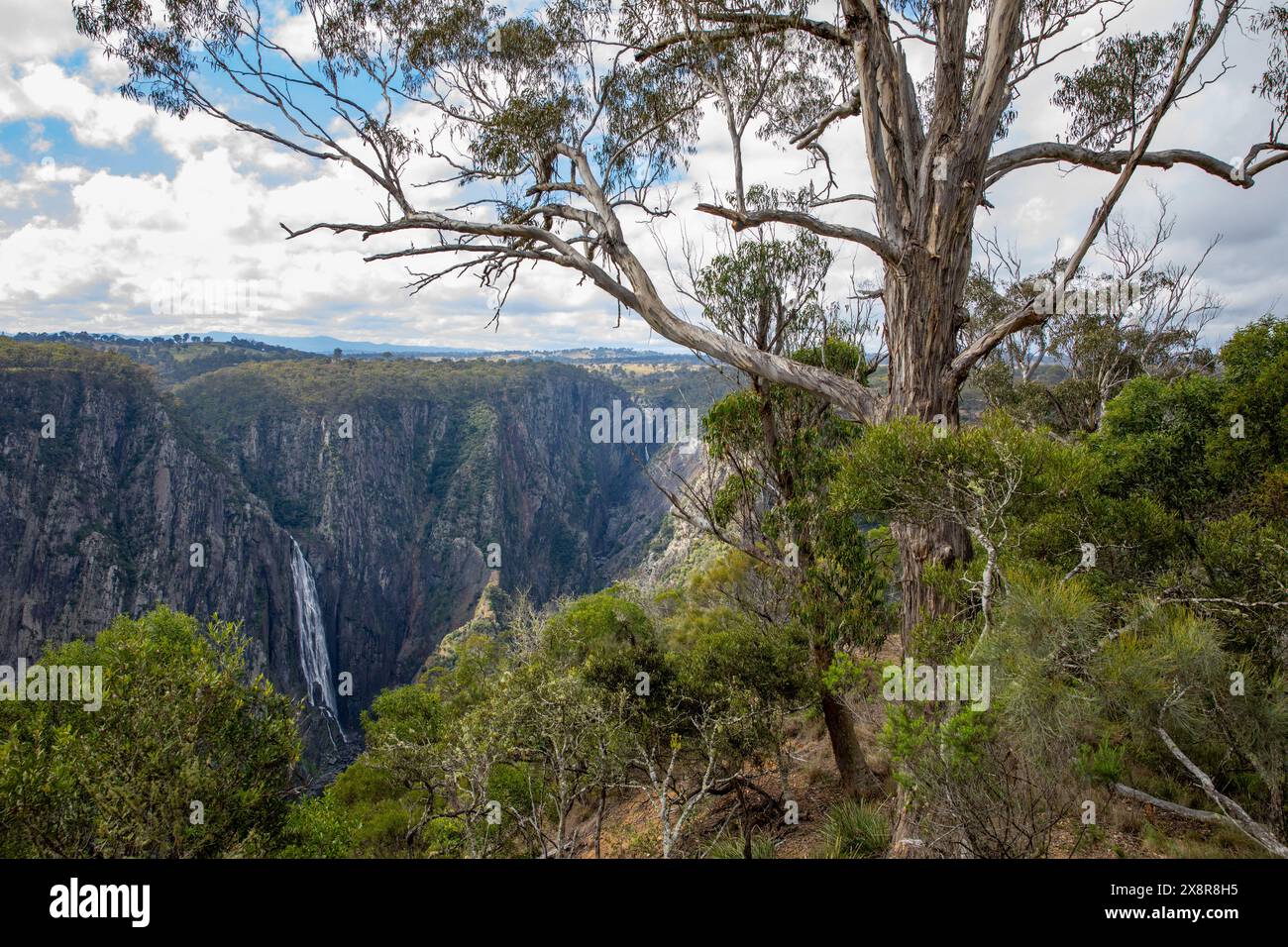 Cascate Wollemombi nel parco nazionale Oxley Rivers, la seconda cascata più grande dell'Australia, con le cascate chandler accanto, New South Wales, Australia Foto Stock