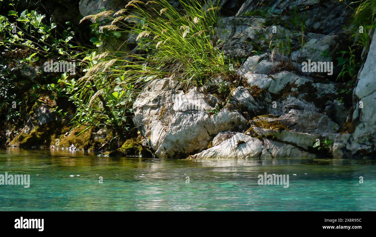 Banca di fiume visualizza Foto Stock