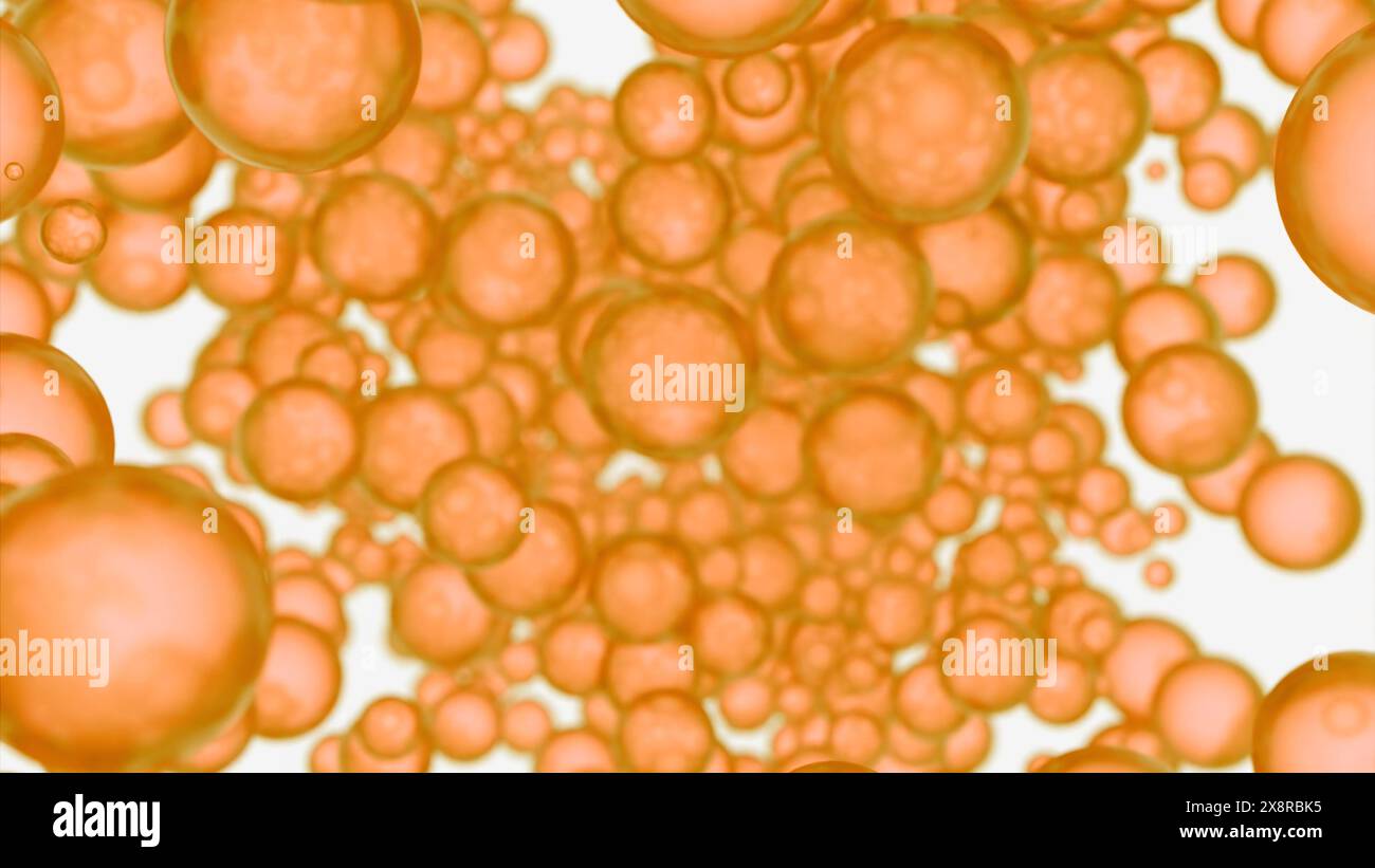 Cellule grasse all'interno dell'organismo umano. Design. Concetto di biologia e corpo umano. Foto Stock