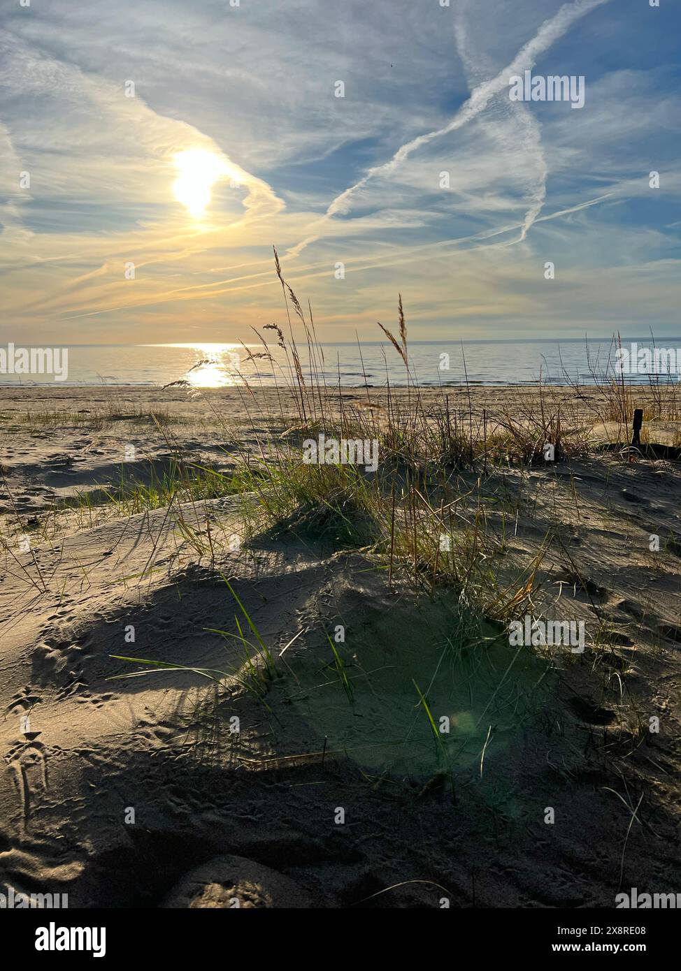 Dune di sabbia sulla riva del Mar Baltico. Erba di Marram (erba da spiaggia) che cresce nella sabbia. Paesaggio con vista mare sulla spiaggia, dune di sabbia e erba. Foto Stock