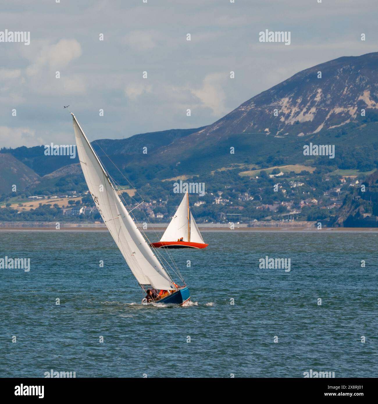 Gommone a vela che partecipa a una regata nello stretto di Menai al largo della costa di Beaumaris ad Anglesey, nel Galles del Nord. Foto Stock